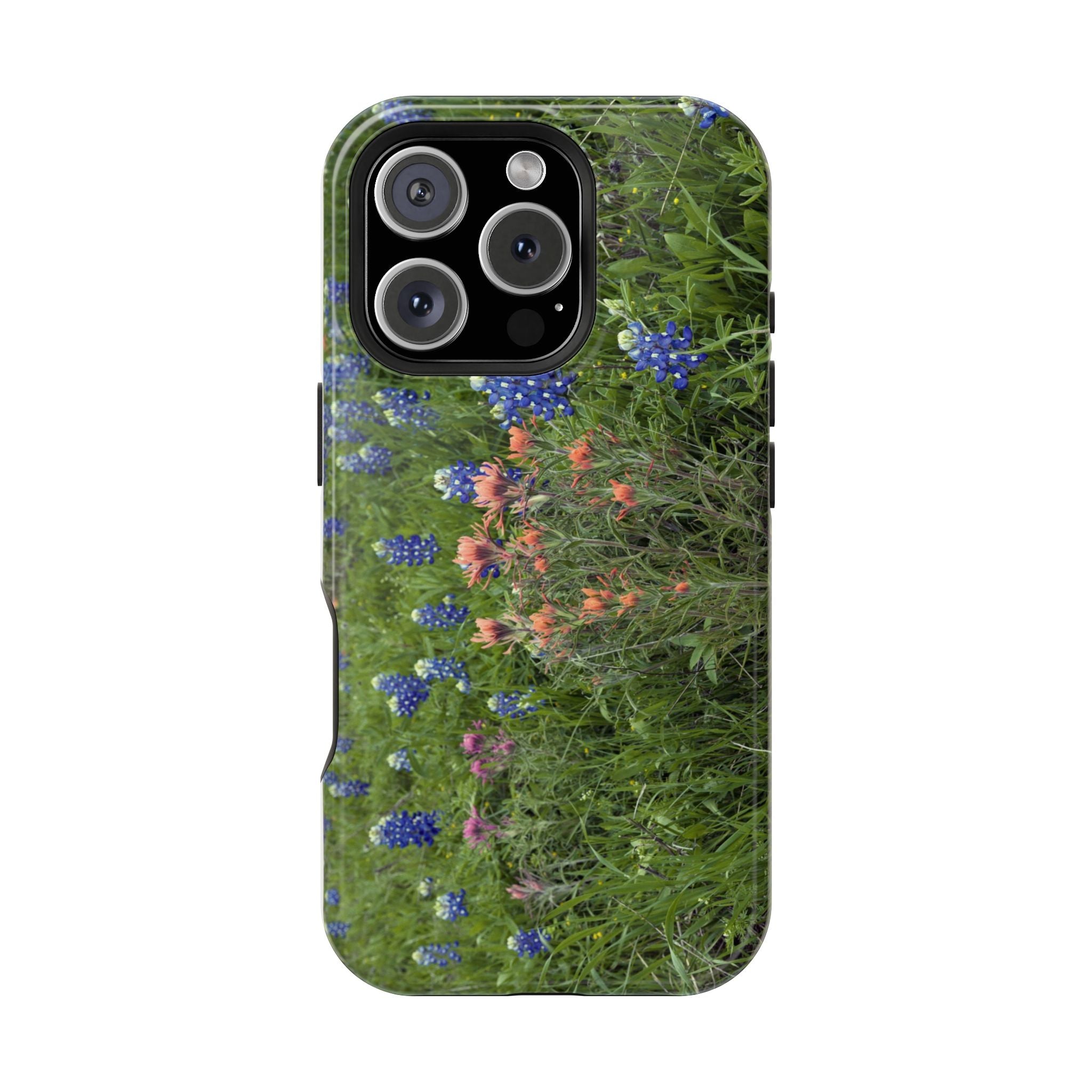 Texas Bluebonnets and Indian Paintbrushes
