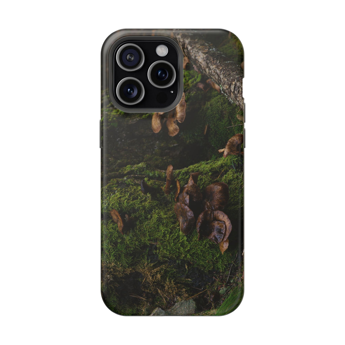iPhone MagSafe Case | Acadia Forest Fungi | Acadia National Park | My Blu Horizon