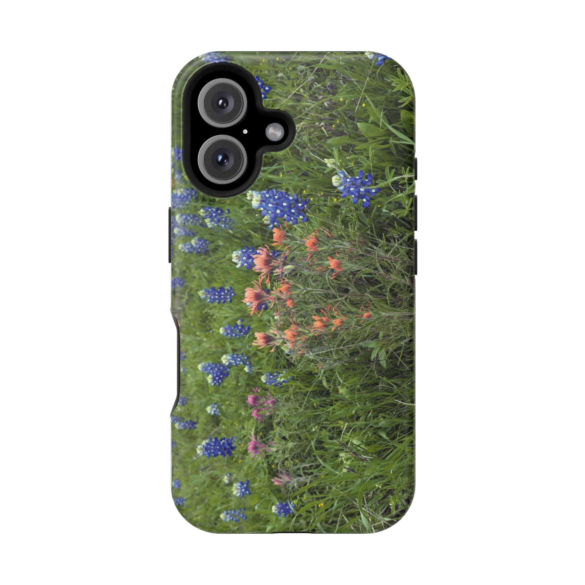 Texas Bluebonnets and Indian Paintbrushes