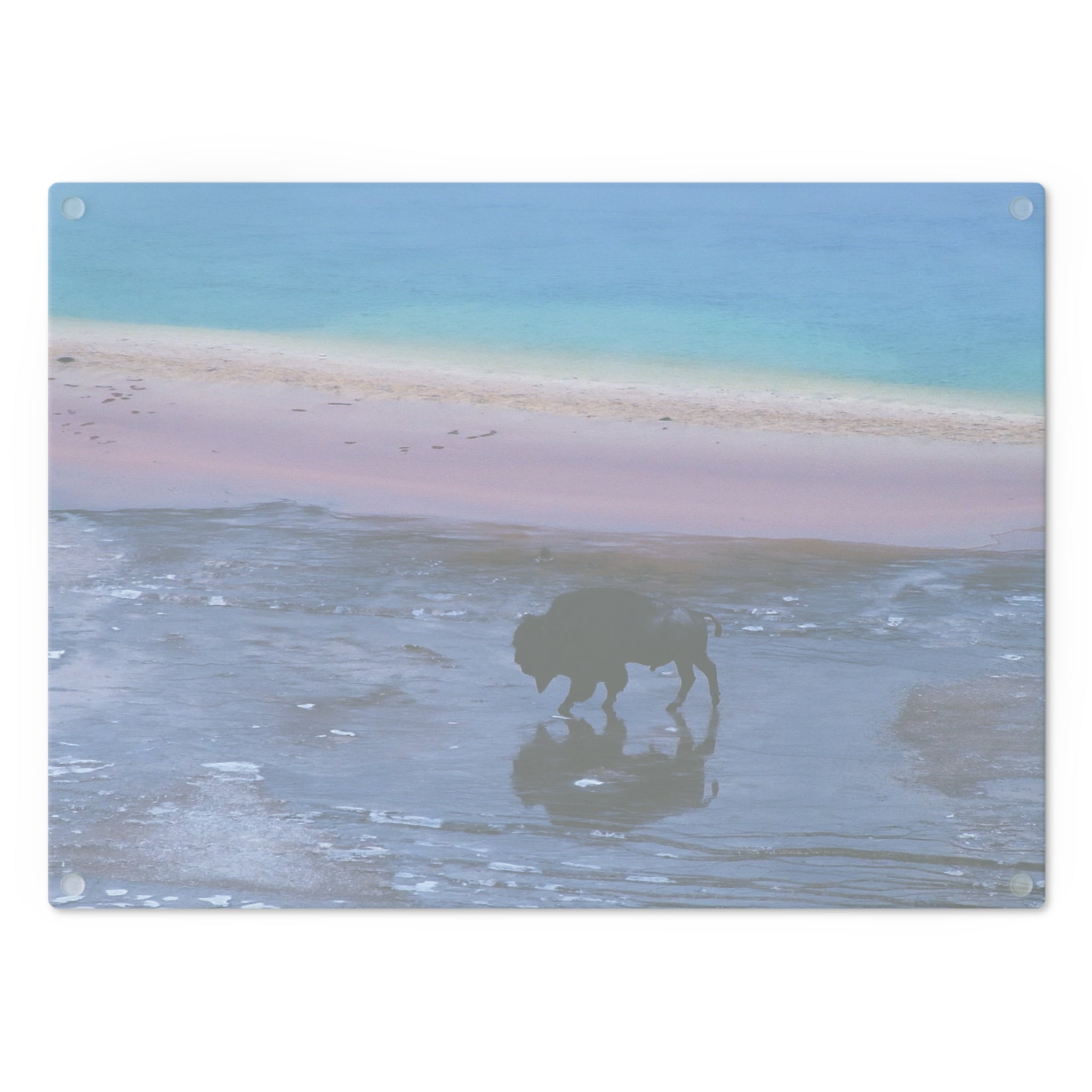 Tempered Glass Cutting Board - Yellowstone Buffalo and Grand Prismatic Spring -  My Blu Horizon