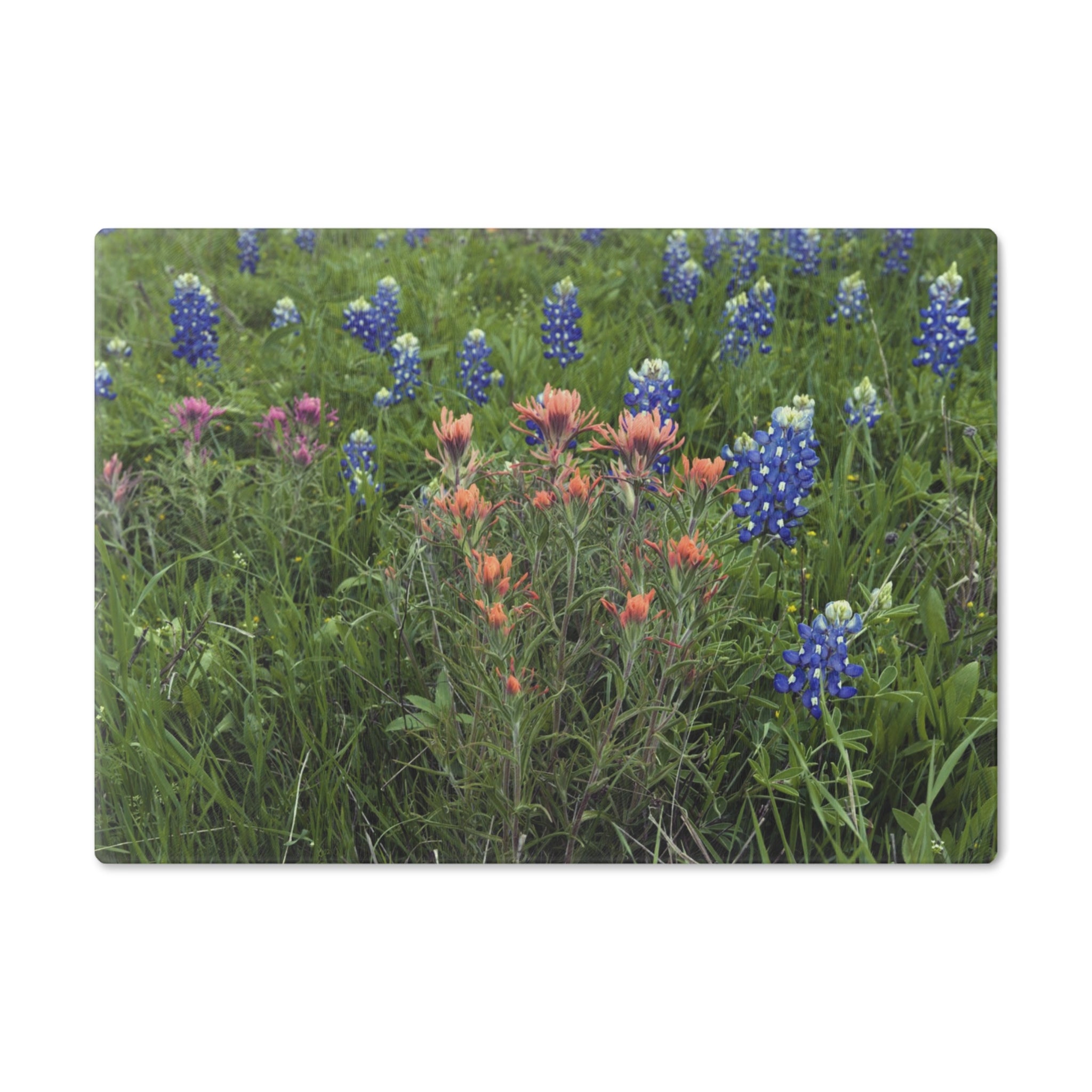 Tempered Glass Cutting Board - Texas Icons Bluebonnets and Paintbrushes - My Blu Horizon