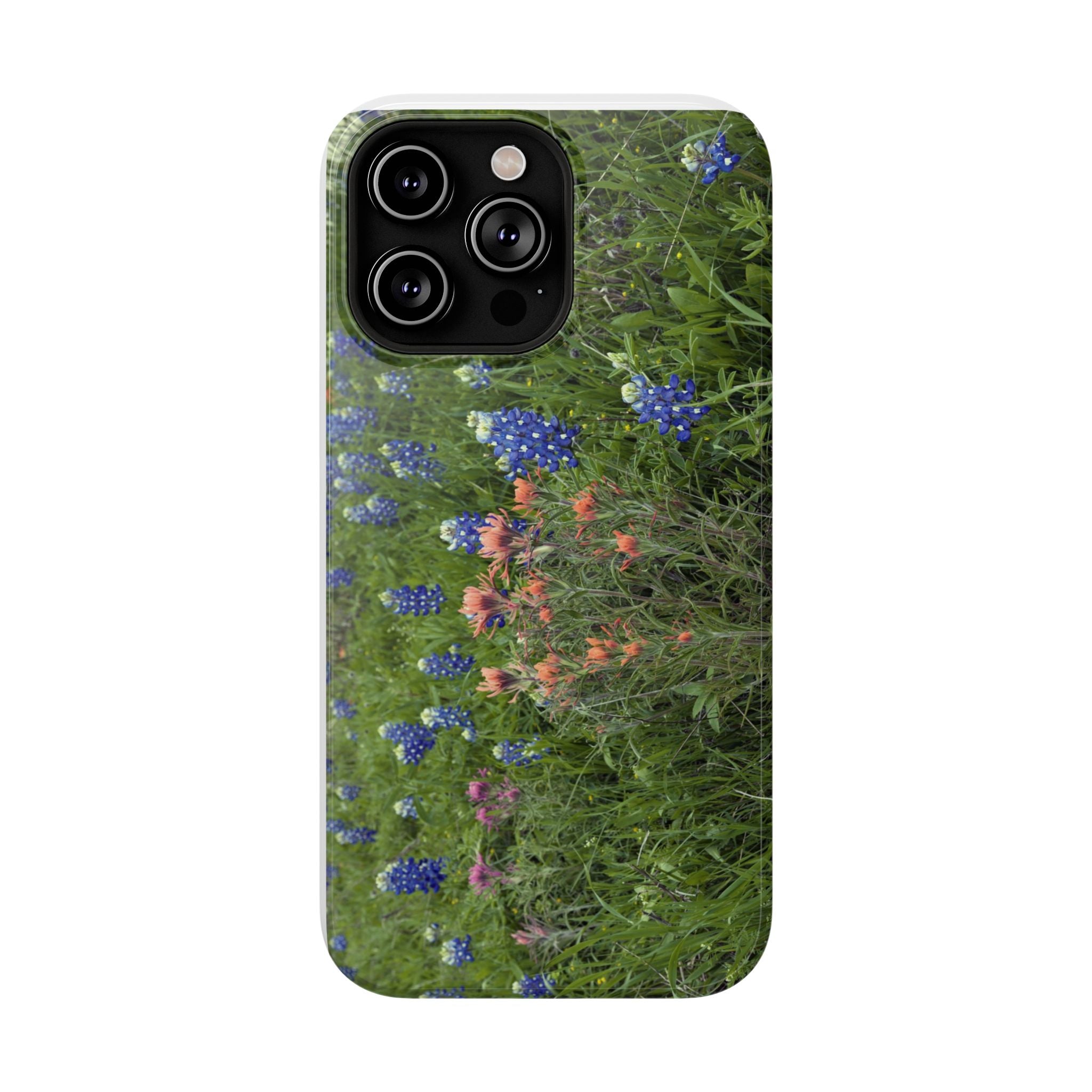 Texas Bluebonnets and Indian Paintbrushes