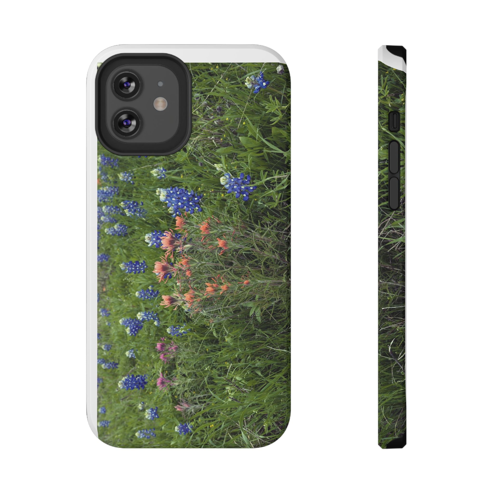 Texas Bluebonnets and Indian Paintbrushes