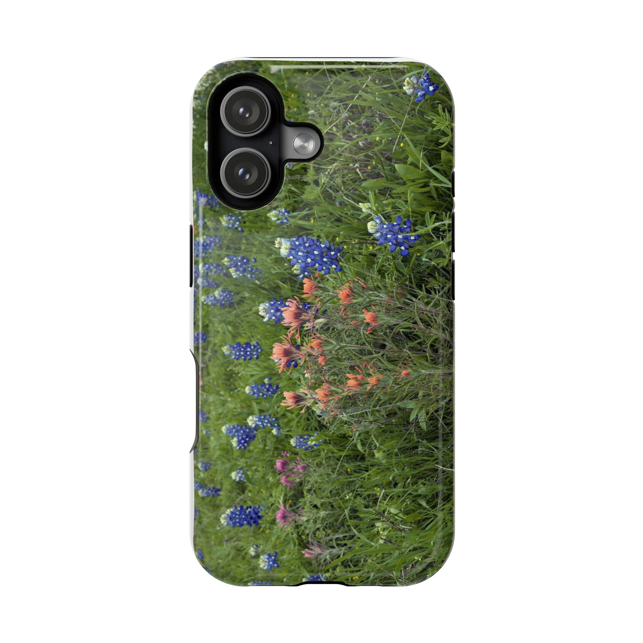 Texas Bluebonnets and Indian Paintbrushes