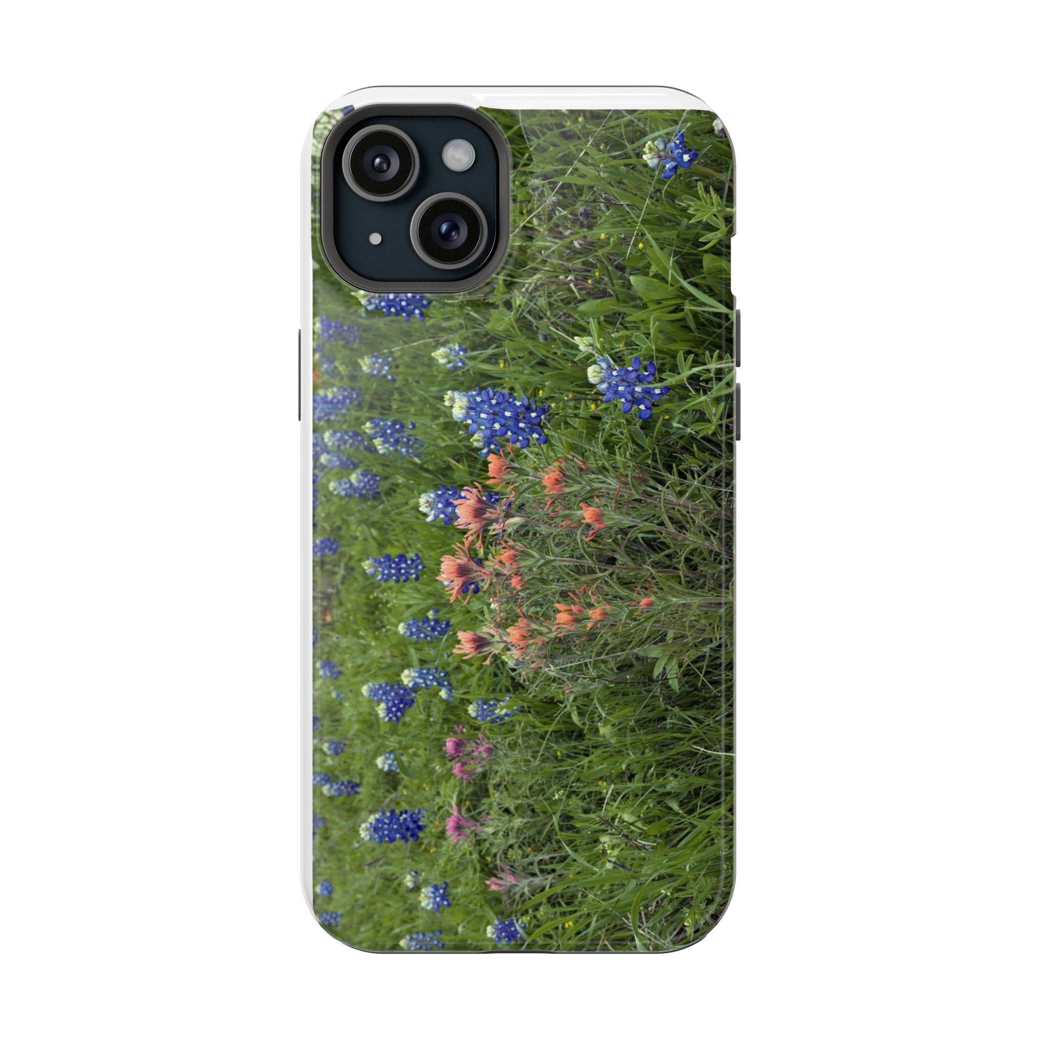 Texas Bluebonnets and Indian Paintbrushes