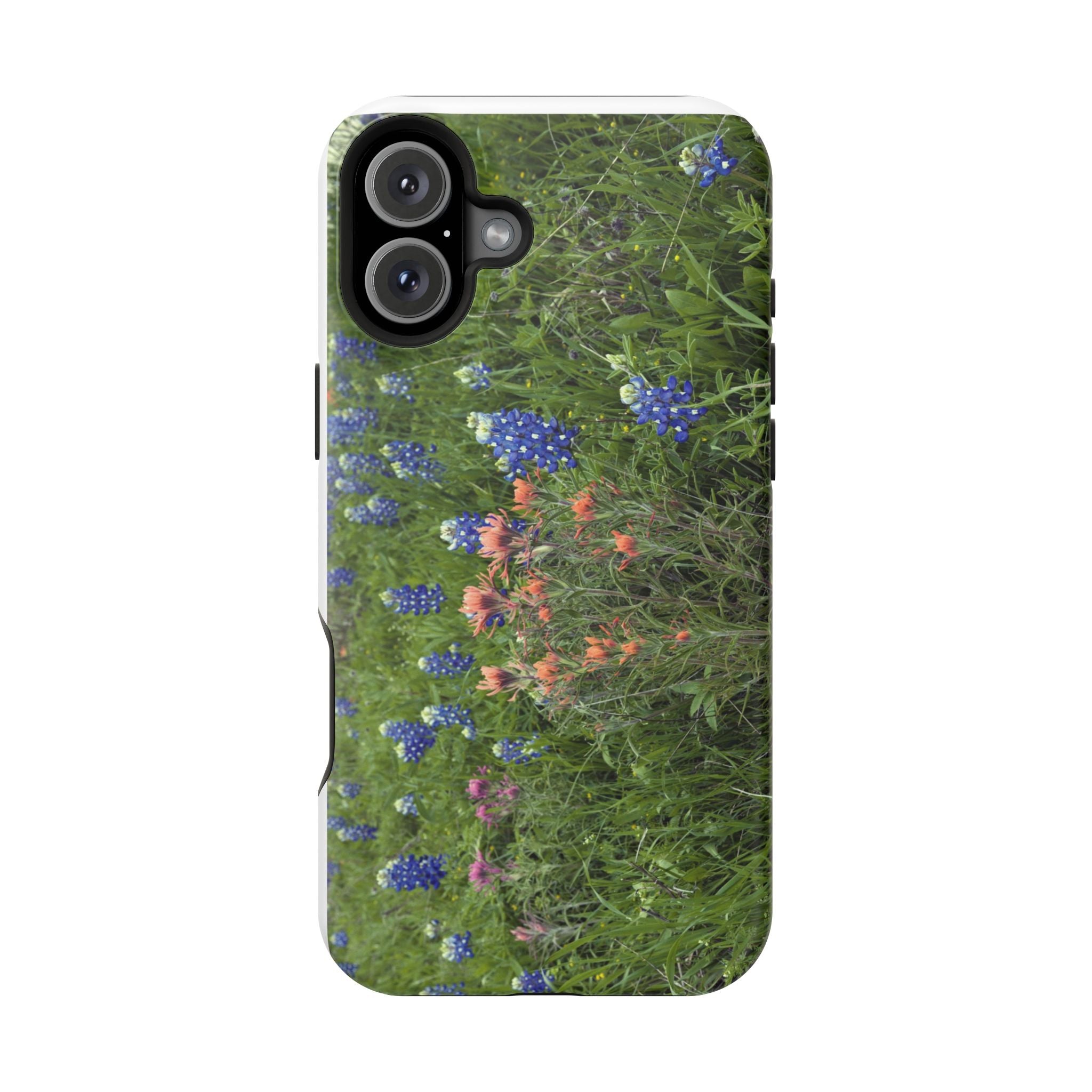 Texas Bluebonnets and Indian Paintbrushes