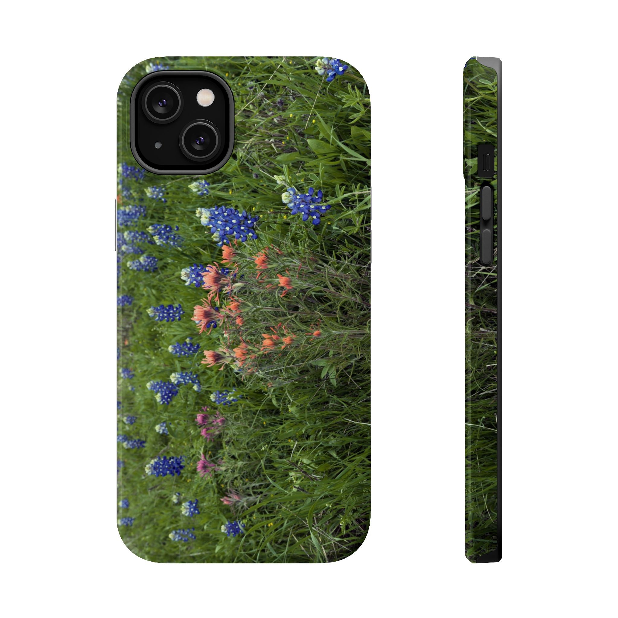 Texas Bluebonnets and Indian Paintbrushes