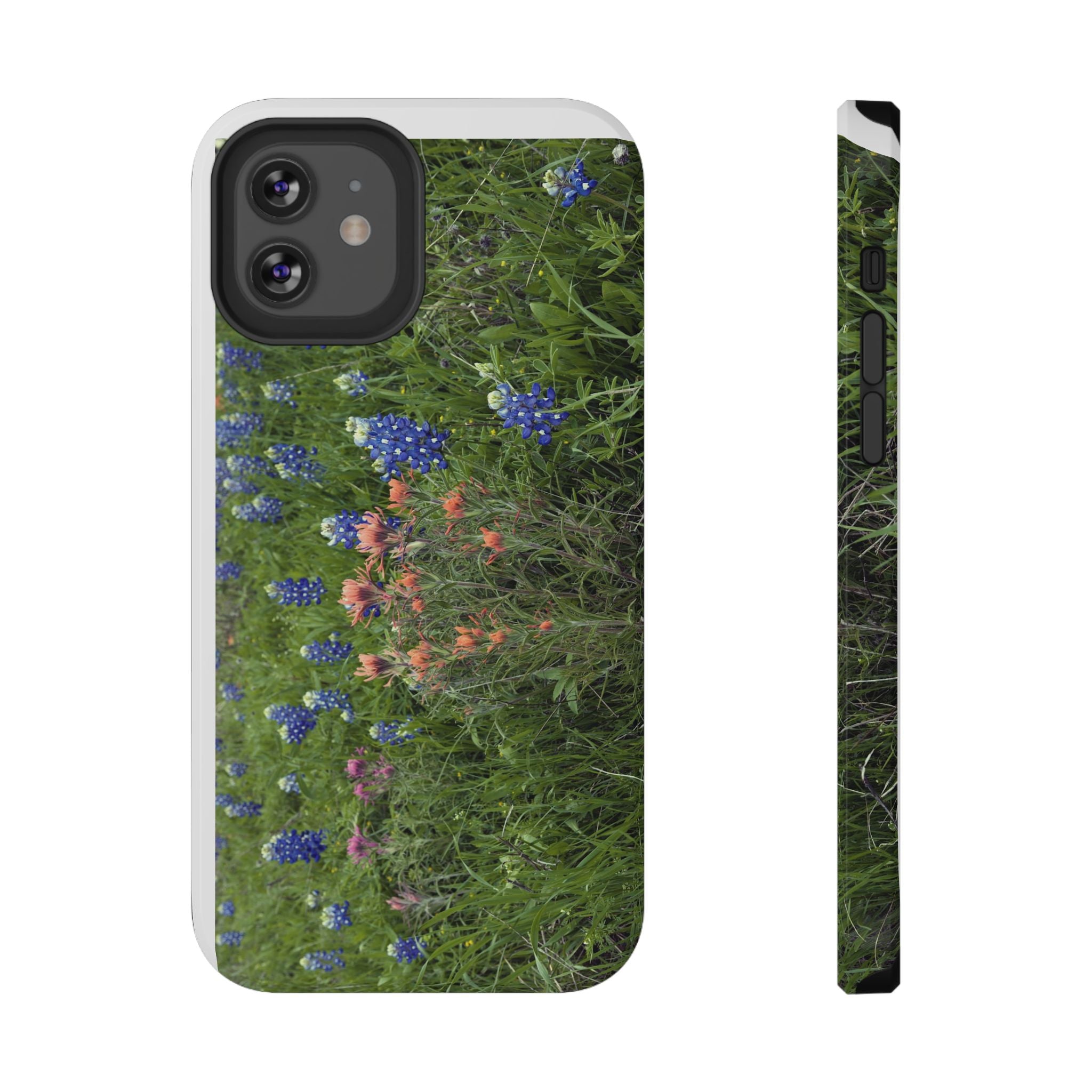 Texas Bluebonnets and Indian Paintbrushes