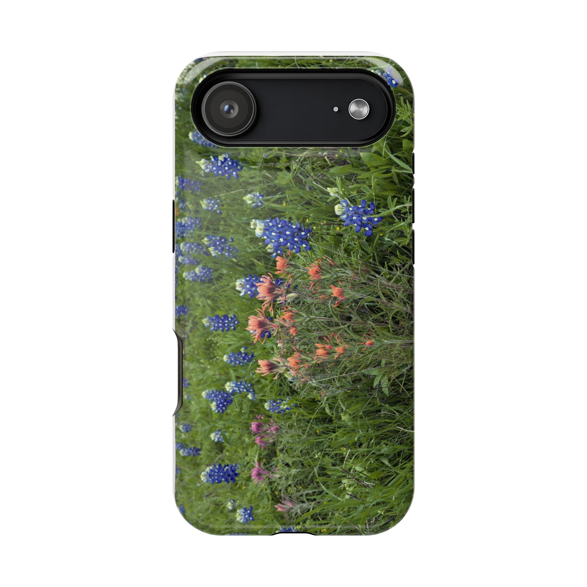 Texas Bluebonnets and Indian Paintbrushes