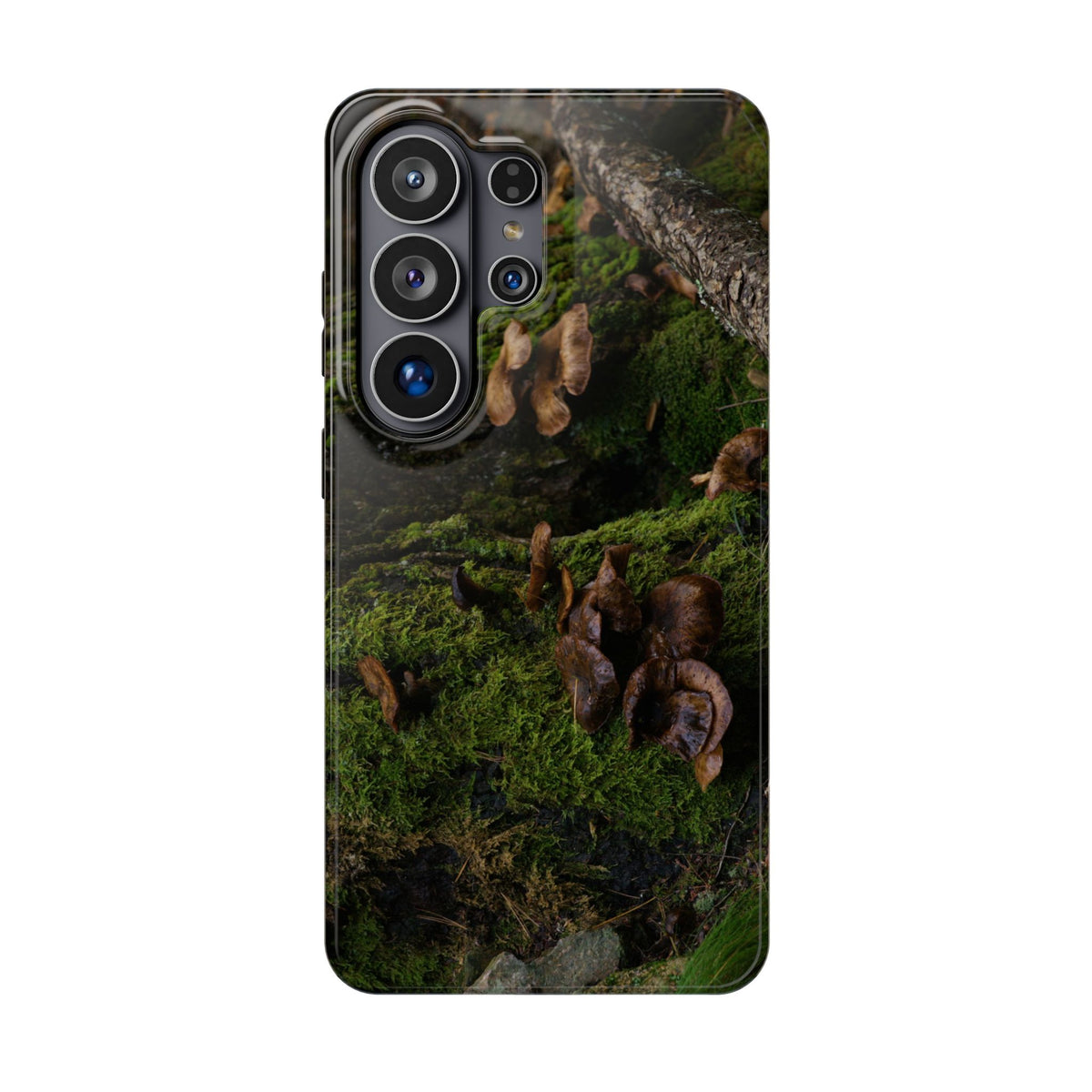 iPhone MagSafe Case | Acadia Forest Fungi | Acadia National Park | My Blu Horizon