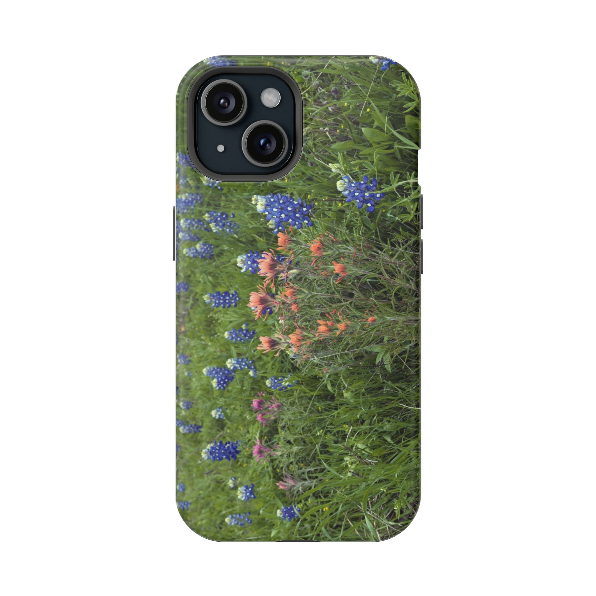 Texas Bluebonnets and Indian Paintbrushes