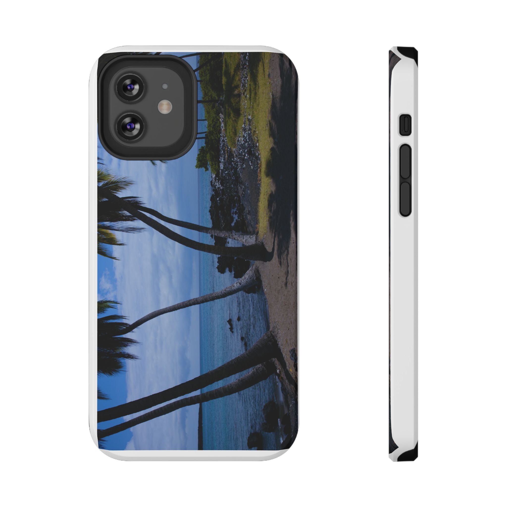 Hawaiian Beach and Palm Trees