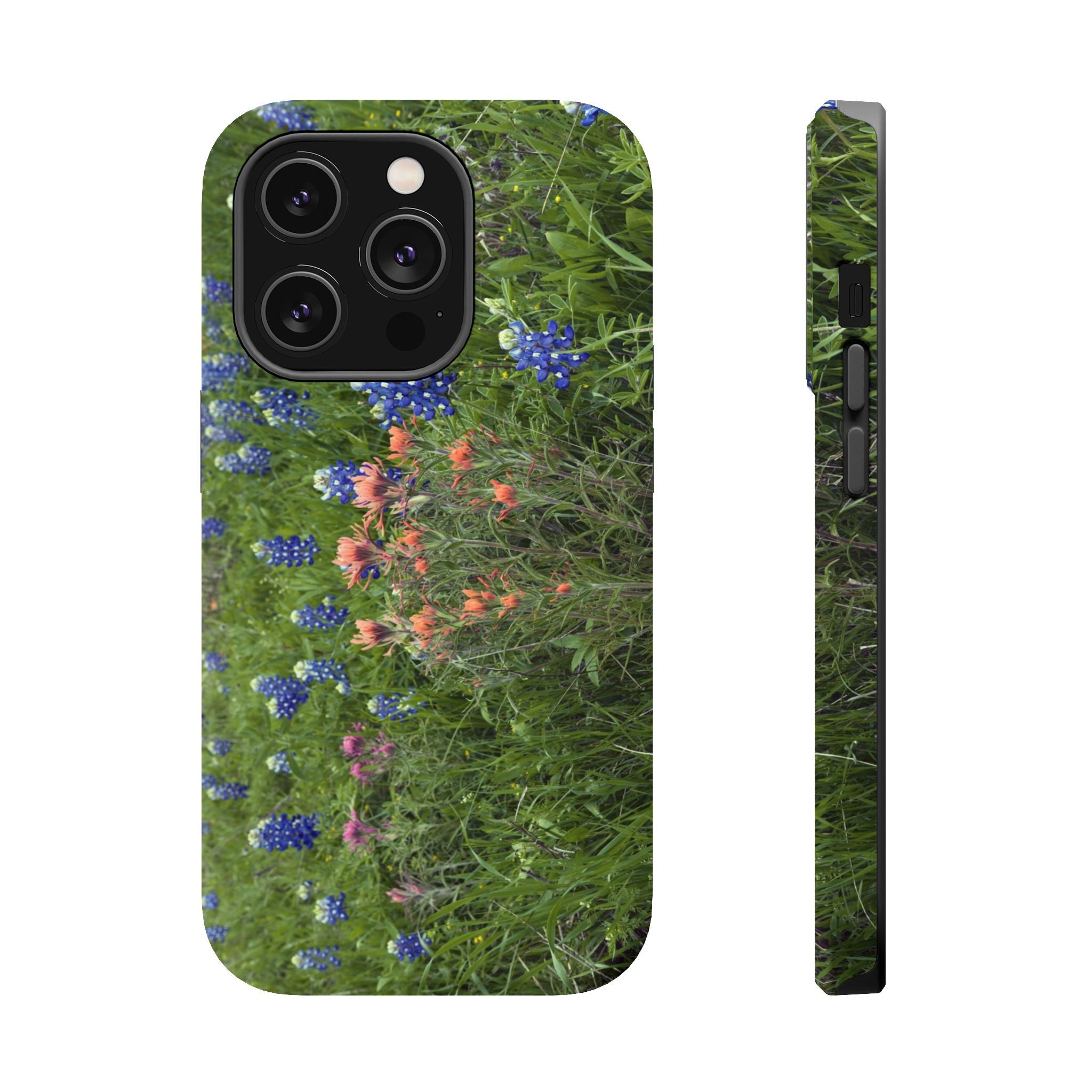 Texas Bluebonnets and Indian Paintbrushes