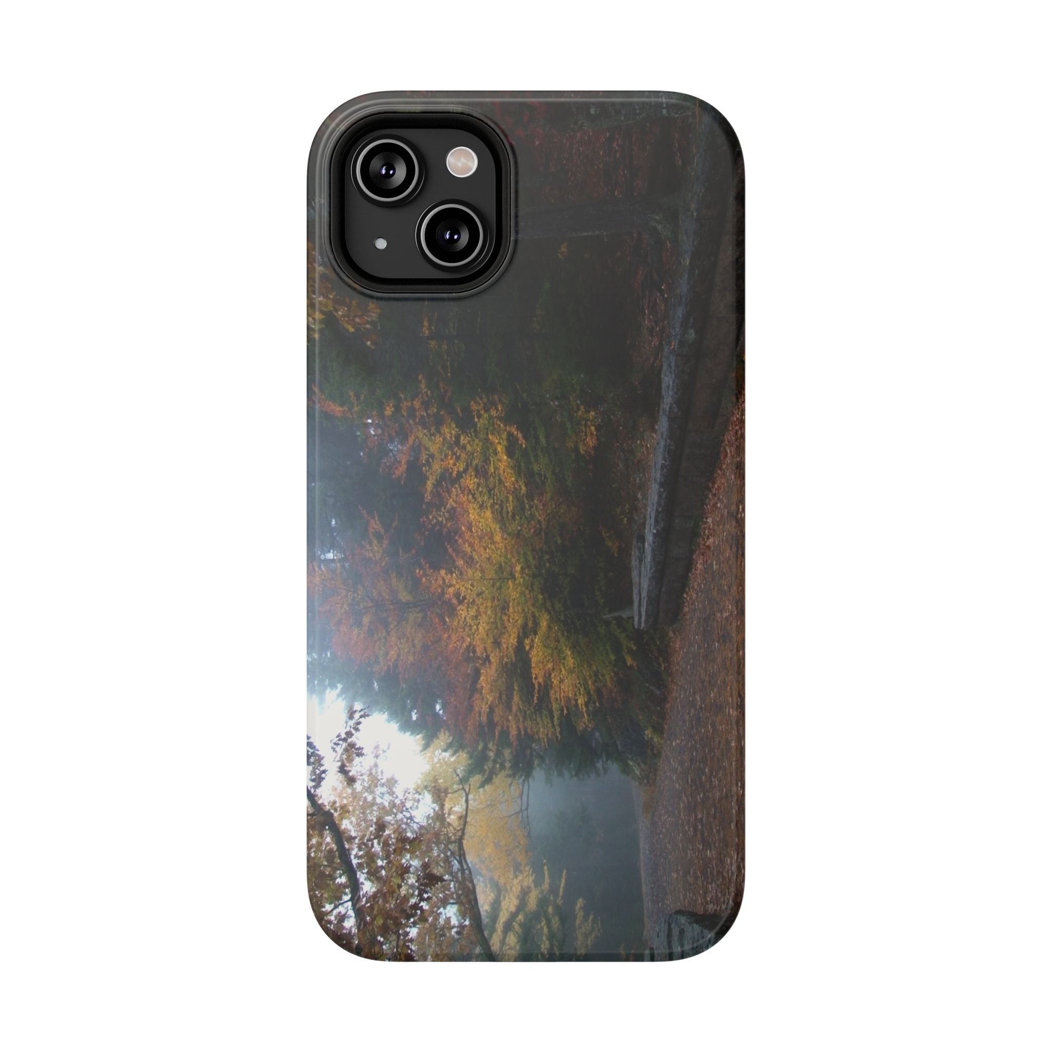 Phone Case | Waterfall Bridge Carriage Road View | Acadia National Park | My Blu Horizon