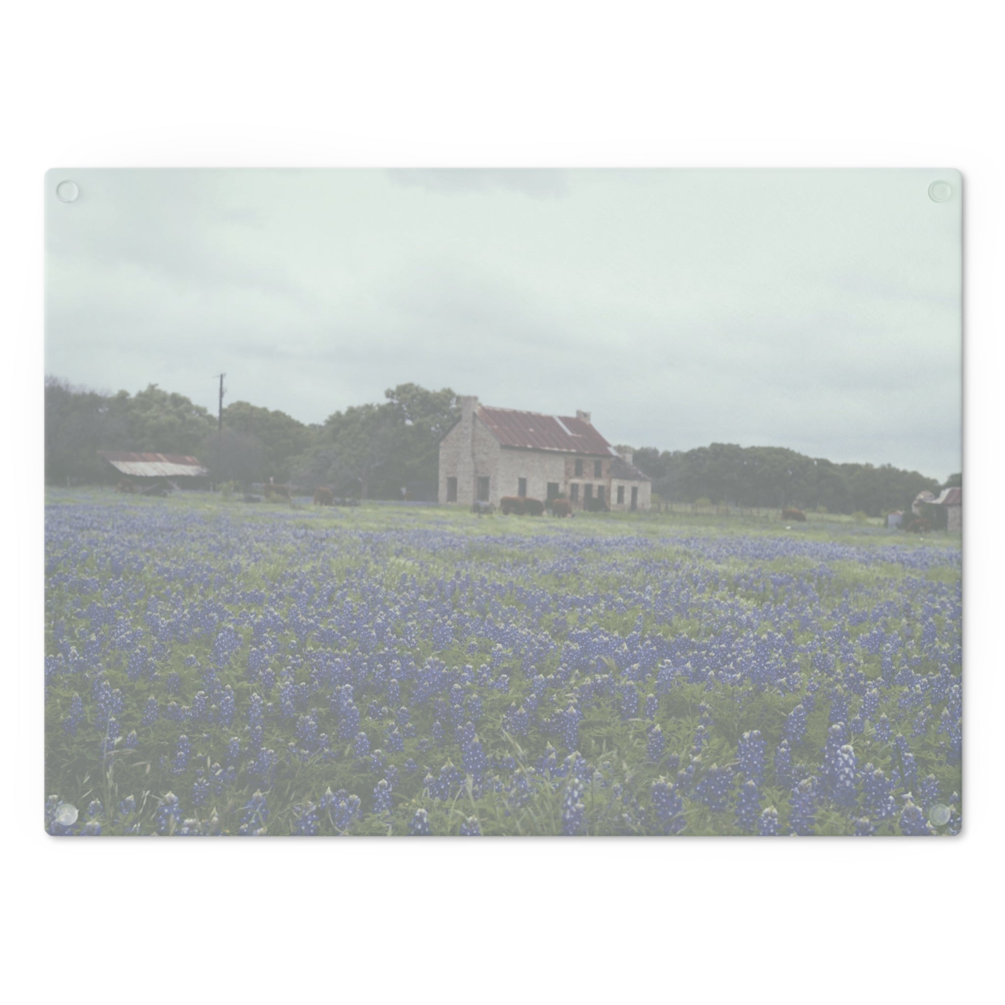 Tempered Glass Cutting Board - Texas Bluebonnets, Marble Falls House- My Blu Horizon