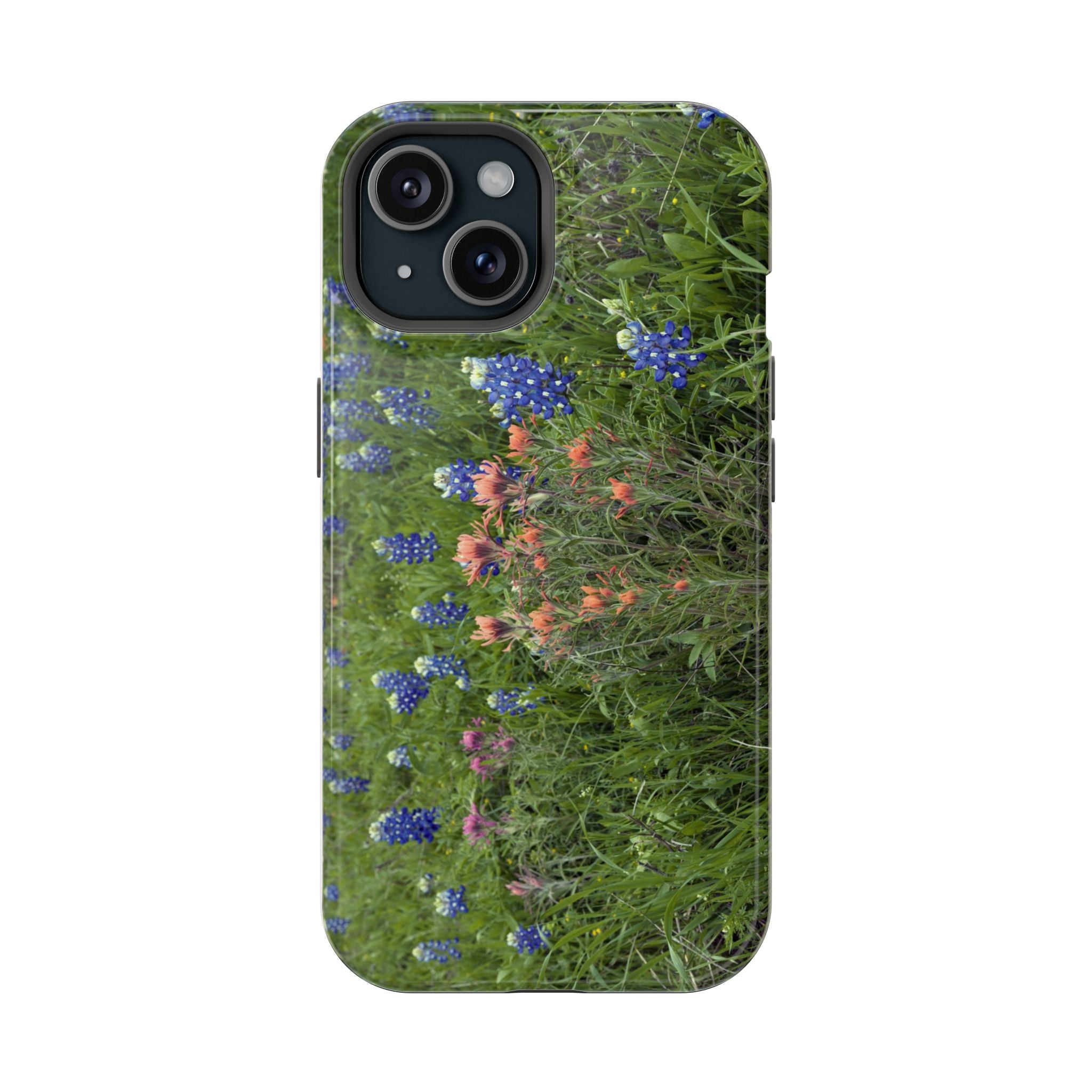 Texas Bluebonnets and Indian Paintbrushes