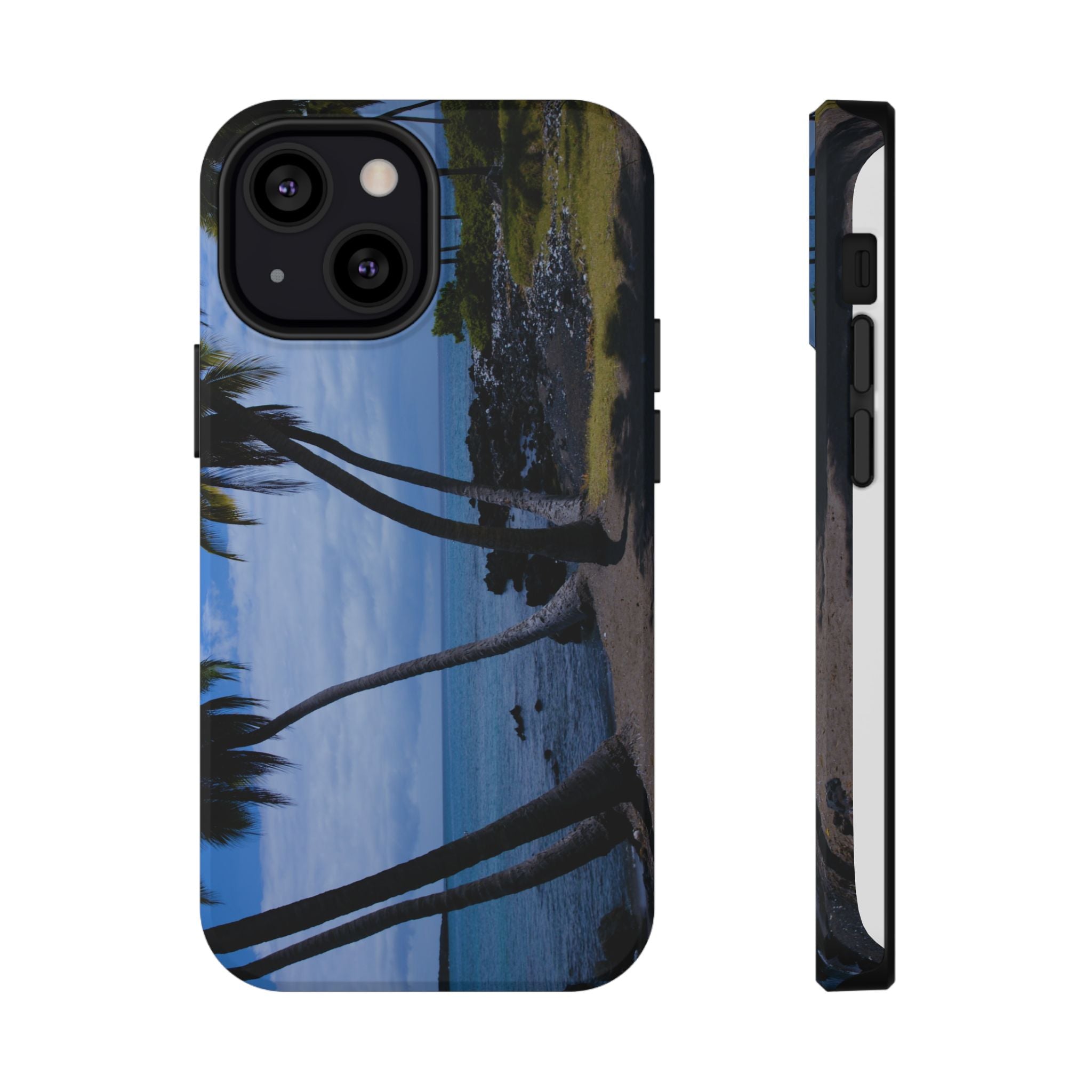Hawaiian Beach and Palm Trees