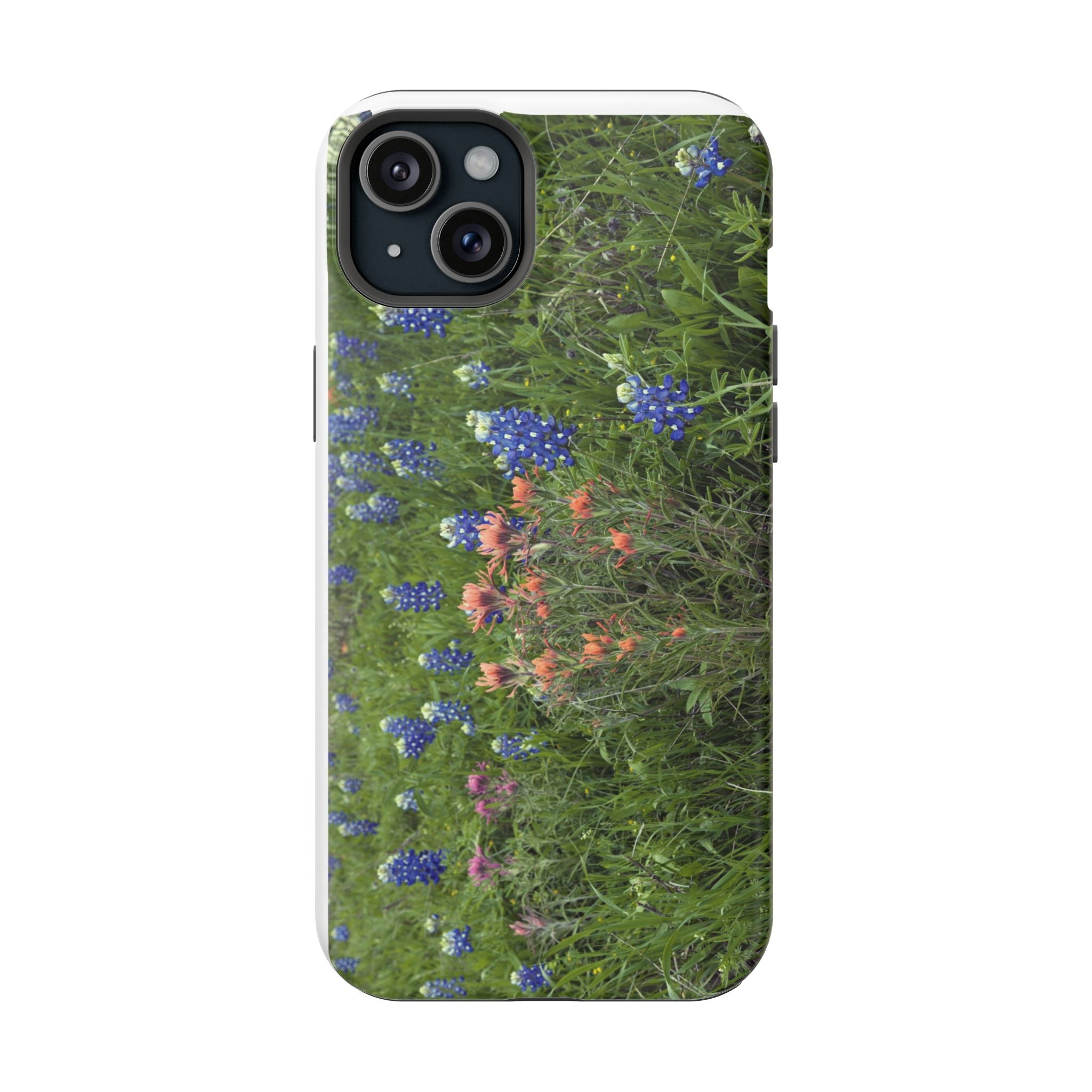 Texas Bluebonnets and Indian Paintbrushes