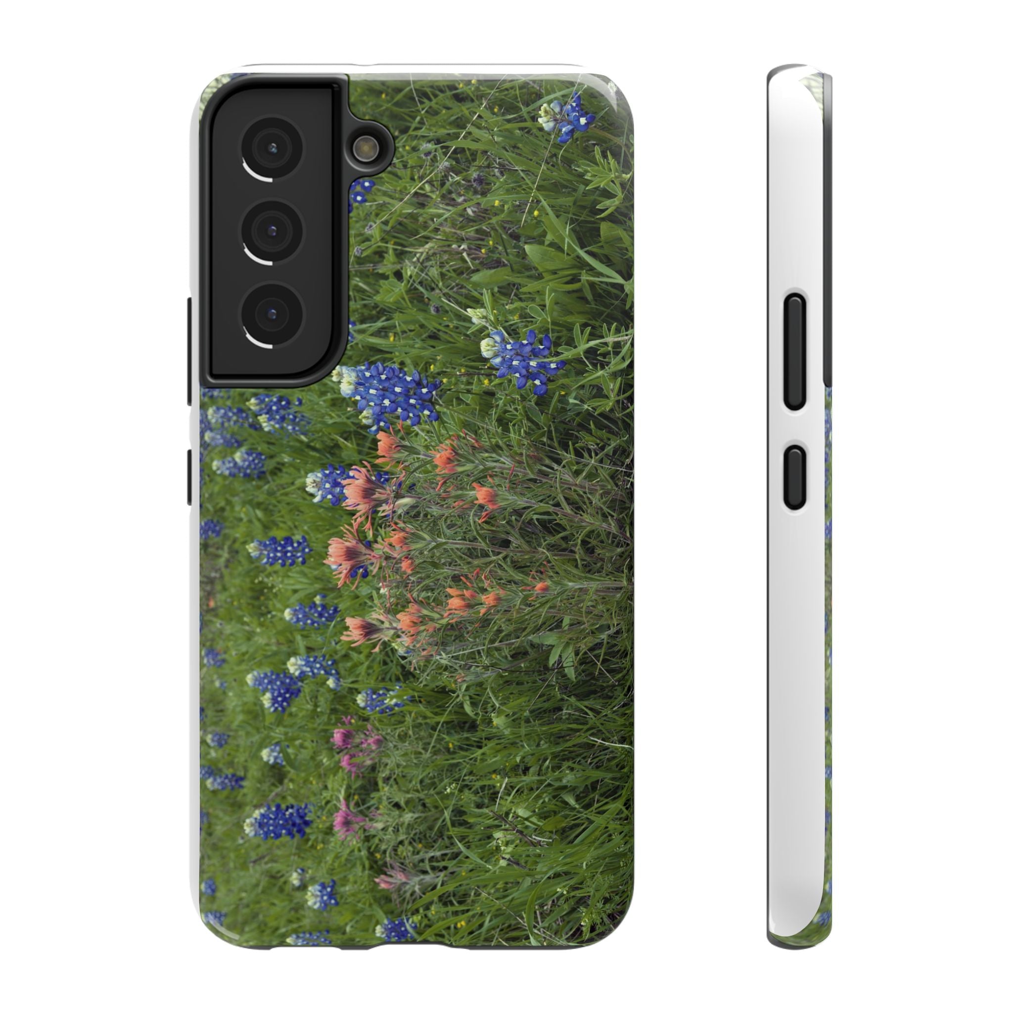Texas Bluebonnets and Indian Paintbrushes