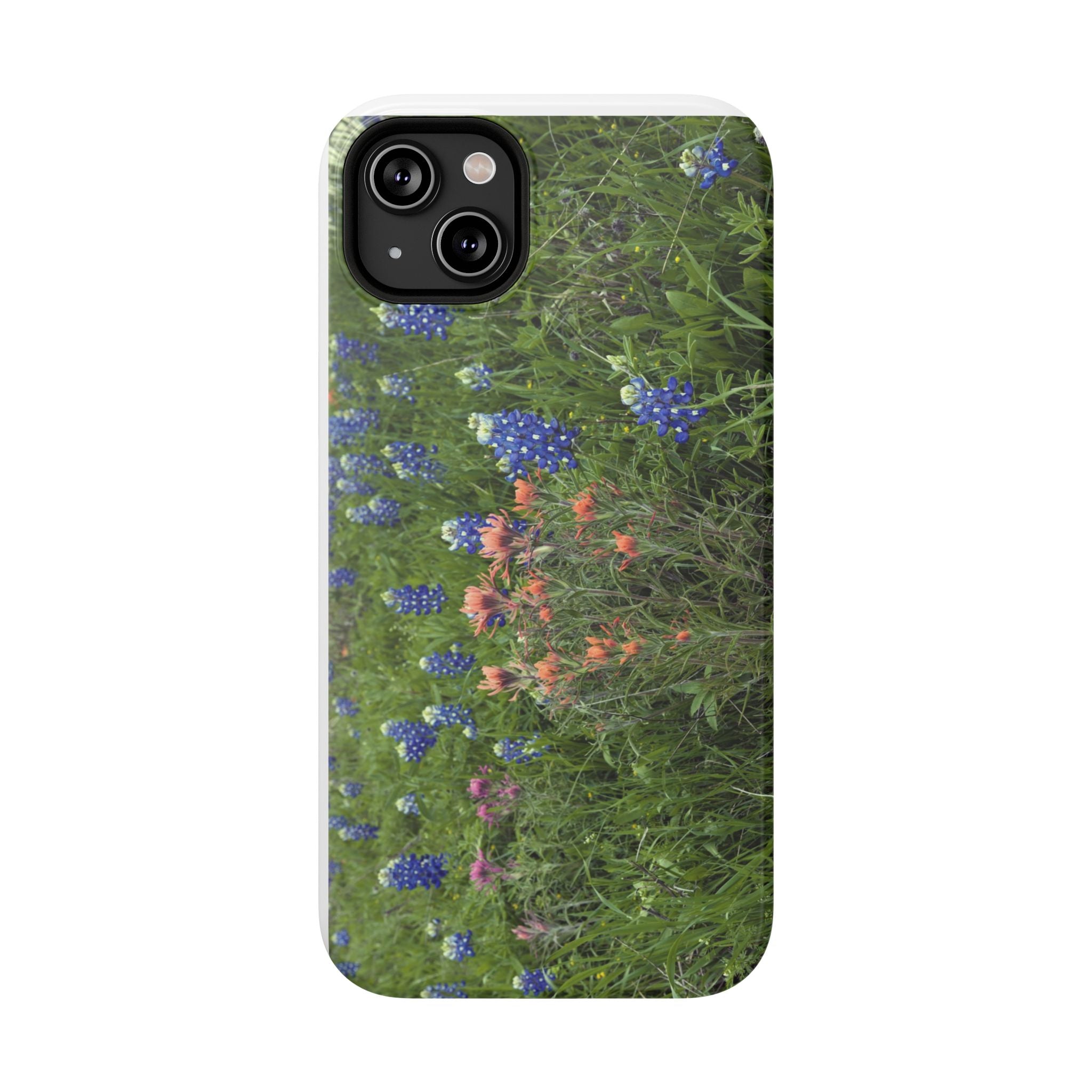 Texas Bluebonnets and Indian Paintbrushes