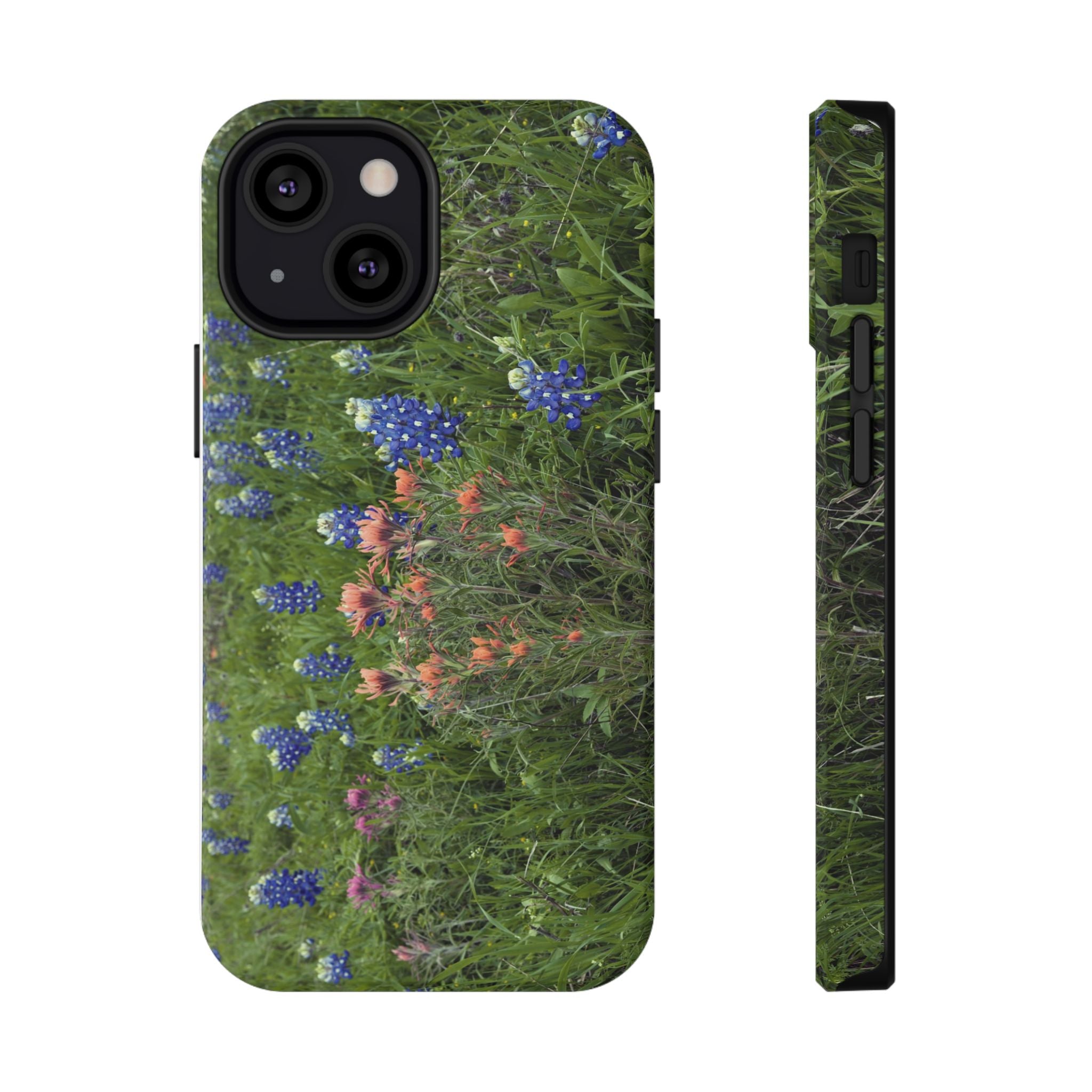 Texas Bluebonnets and Indian Paintbrushes