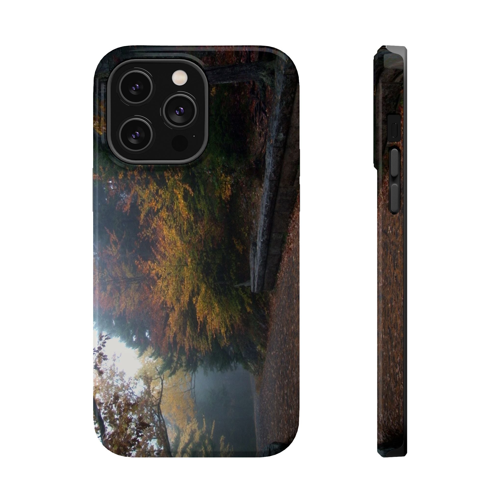 iPhone MagSafe Case | Waterfall Bridge Carriage Road | Acadia National Park | My Blu Horizon