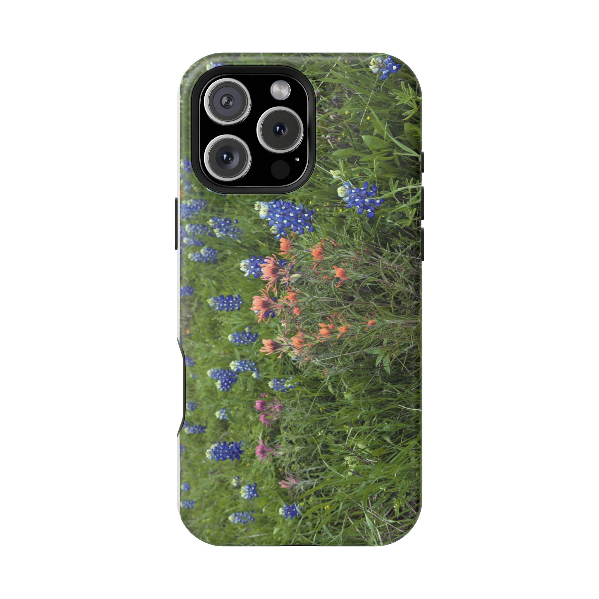Texas Bluebonnets and Indian Paintbrushes