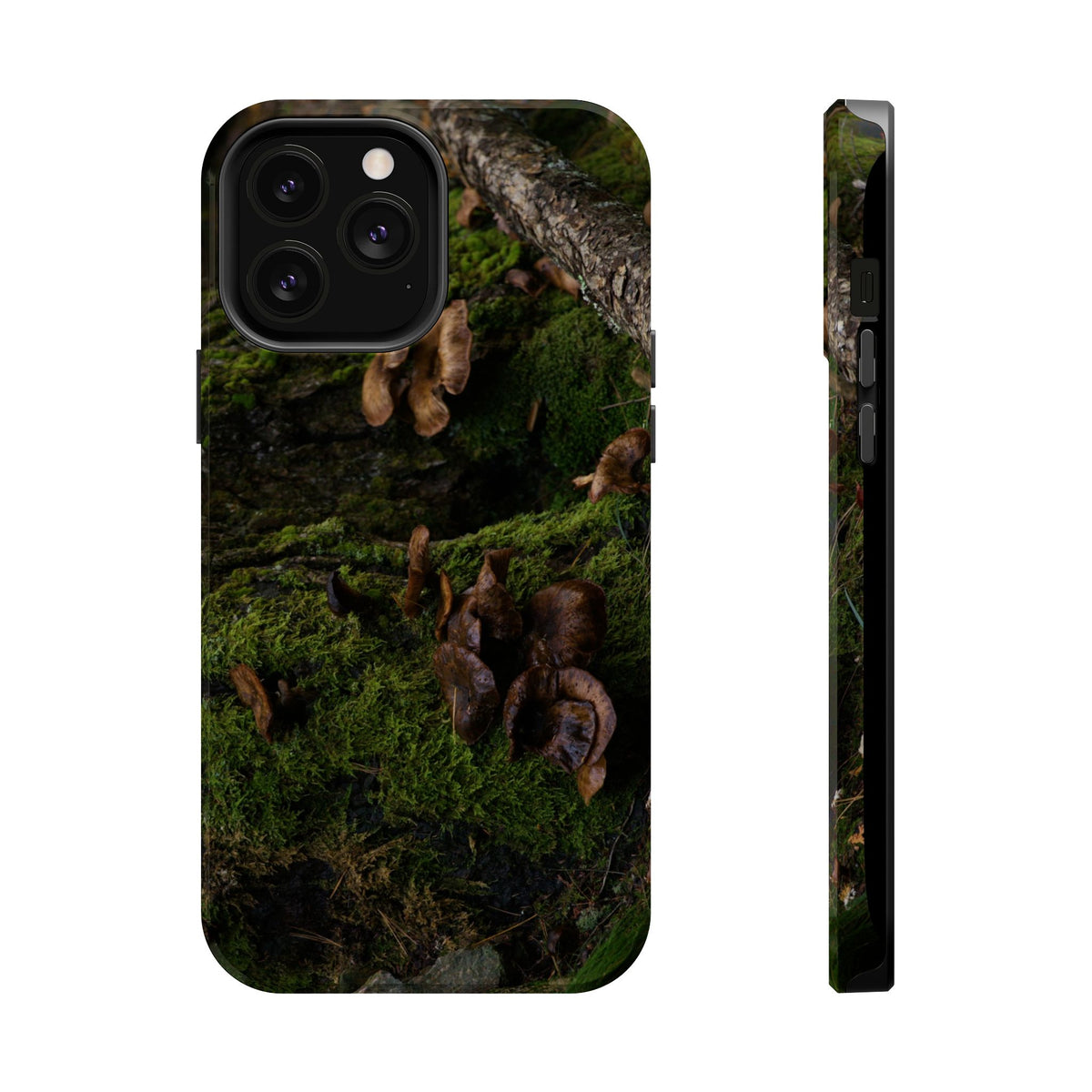 iPhone MagSafe Case | Acadia Forest Fungi | Acadia National Park | My Blu Horizon
