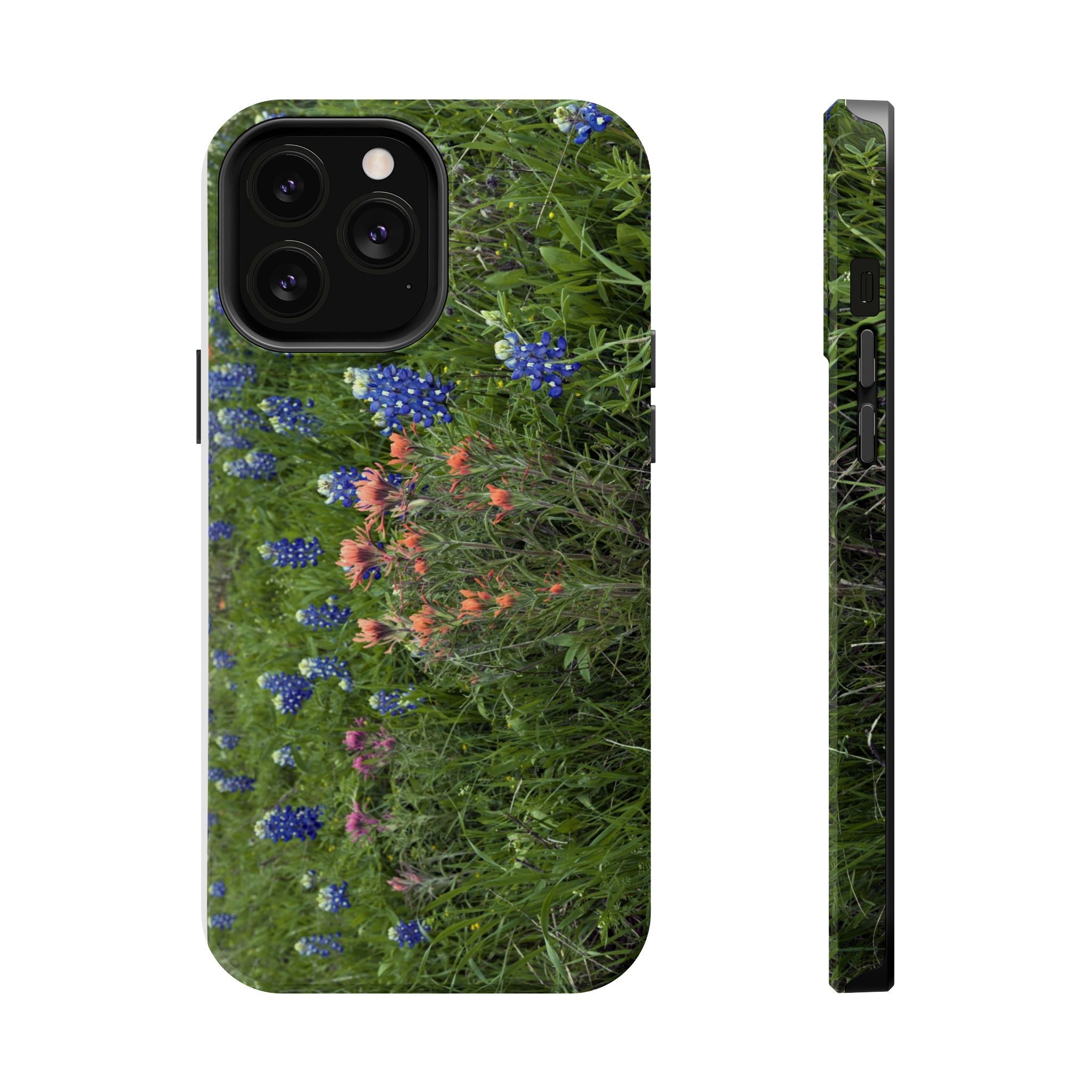 Texas Bluebonnets and Indian Paintbrushes