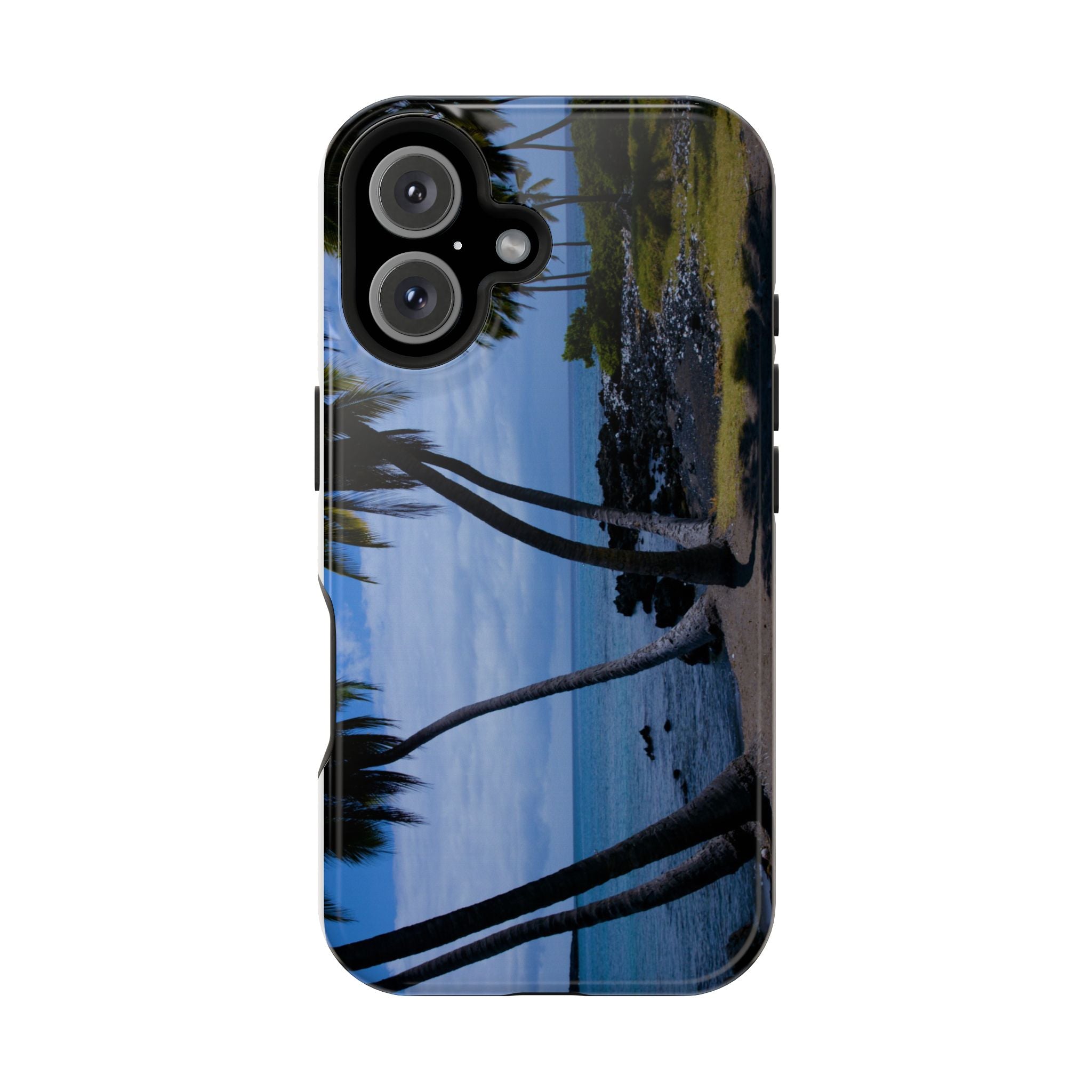 Hawaiian Beach and Palm Trees