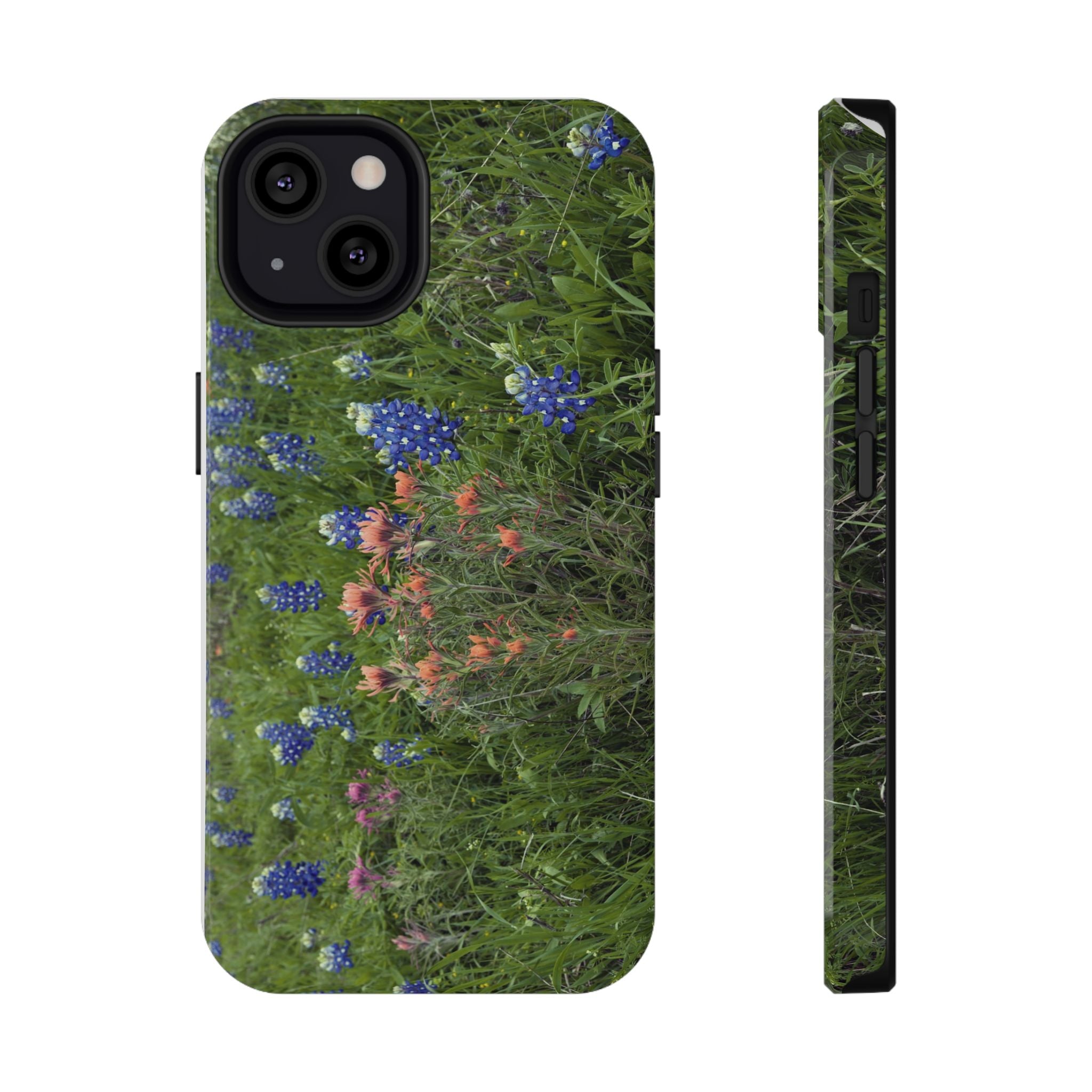 Texas Bluebonnets and Indian Paintbrushes