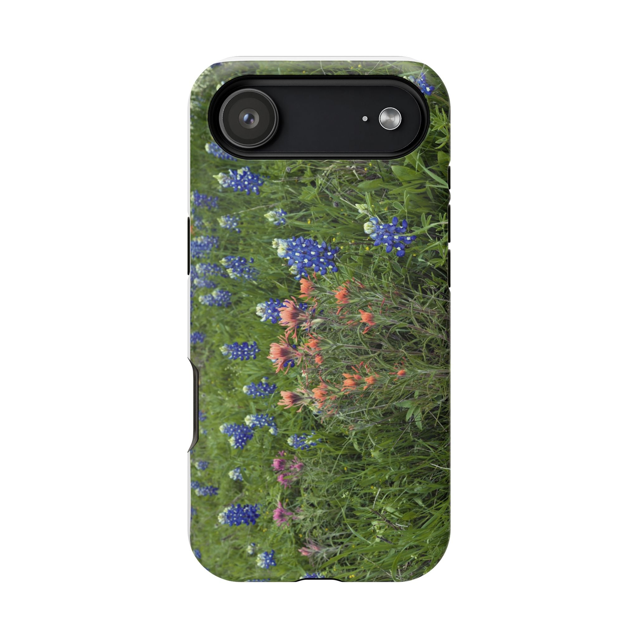 Texas Bluebonnets and Indian Paintbrushes