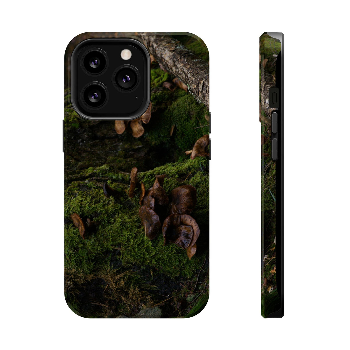 iPhone MagSafe Case | Acadia Forest Fungi | Acadia National Park | My Blu Horizon