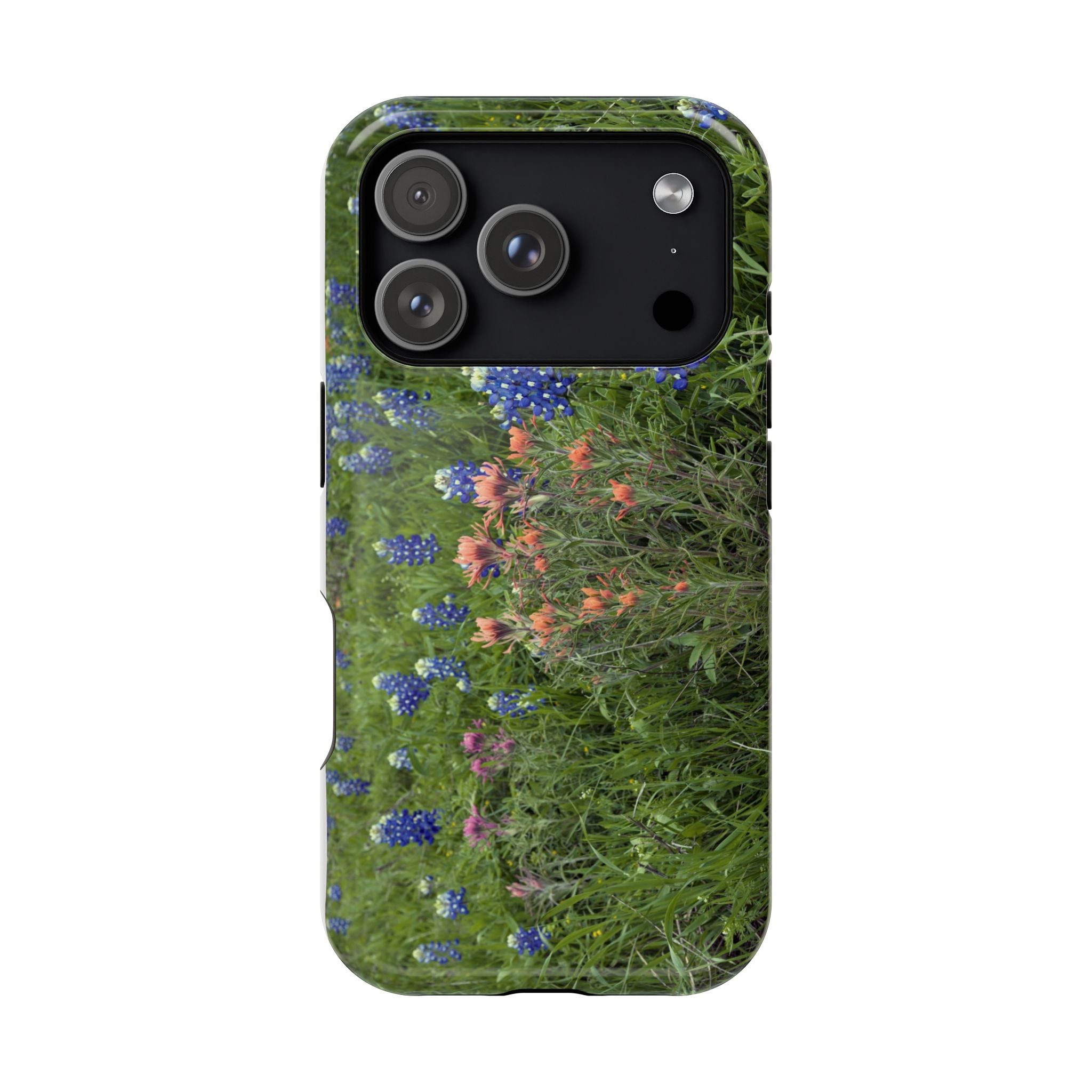 Texas Bluebonnets and Indian Paintbrushes