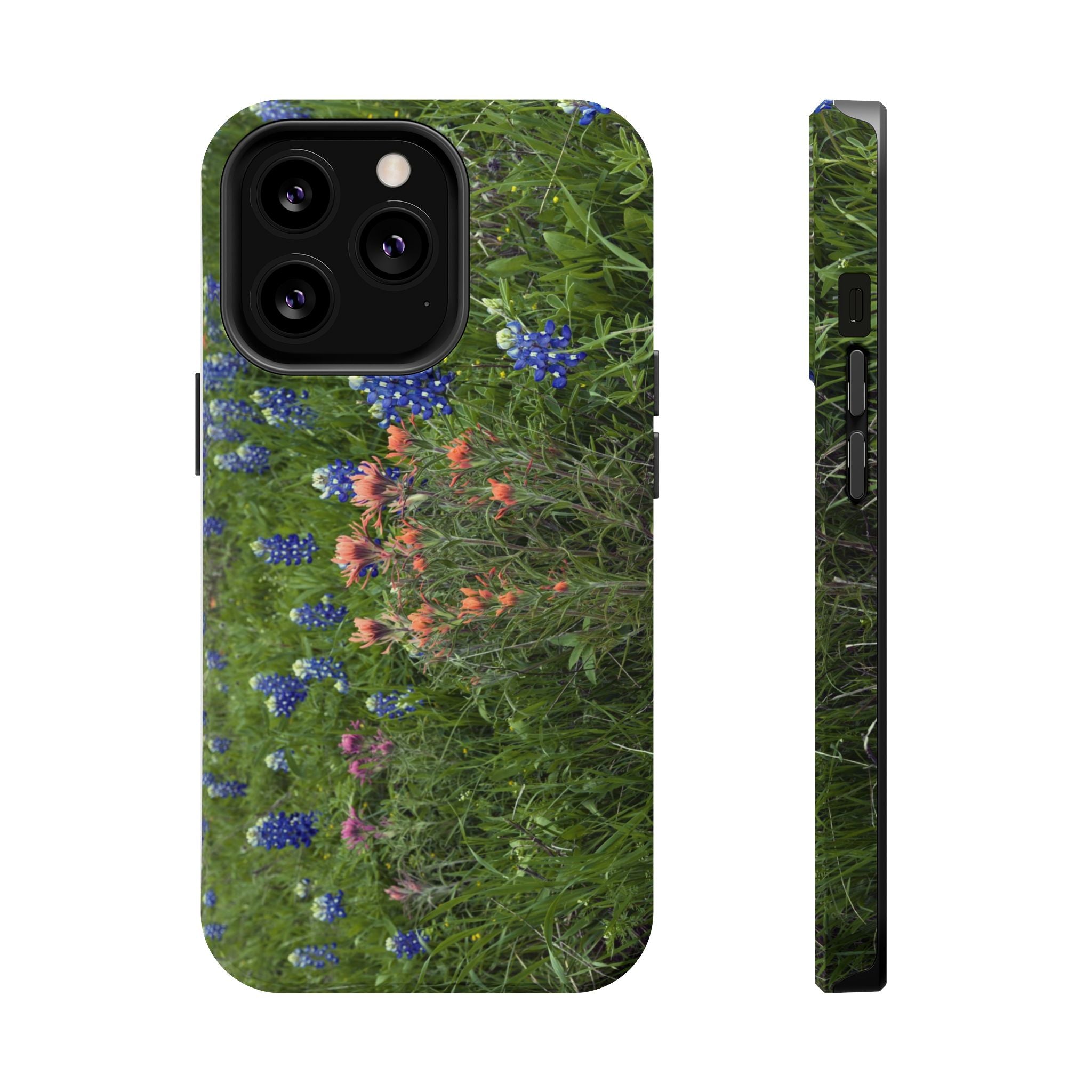 Texas Bluebonnets and Indian Paintbrushes