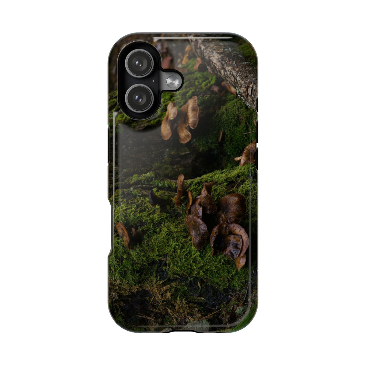 iPhone MagSafe Case | Acadia Forest Fungi | Acadia National Park | My Blu Horizon