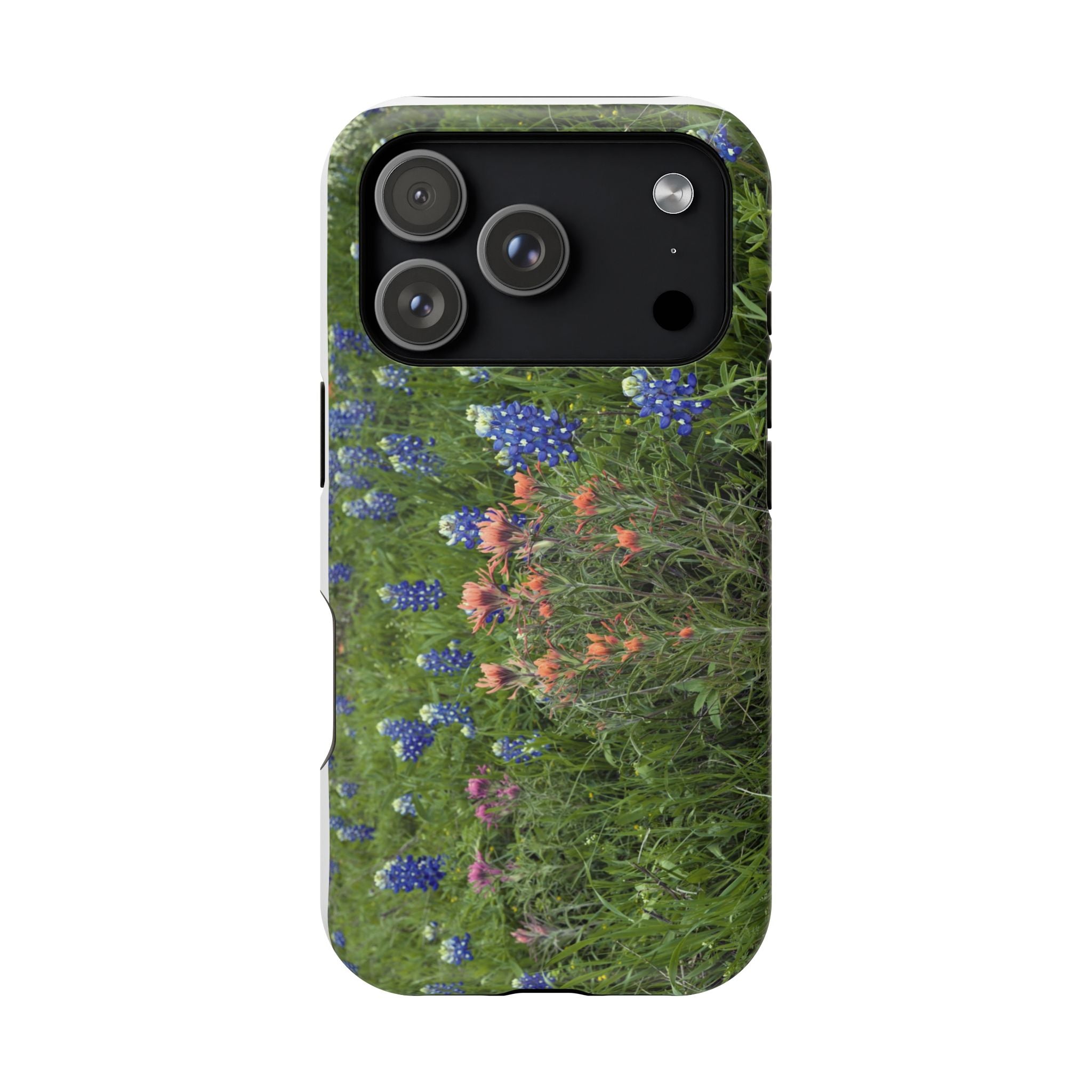 Texas Bluebonnets and Indian Paintbrushes