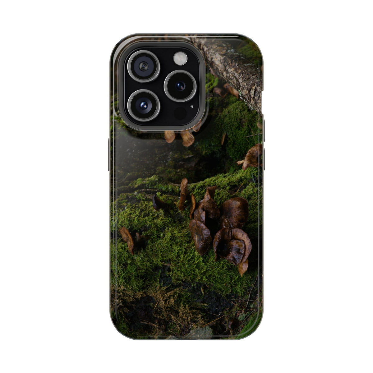 iPhone MagSafe Case | Acadia Forest Fungi | Acadia National Park | My Blu Horizon