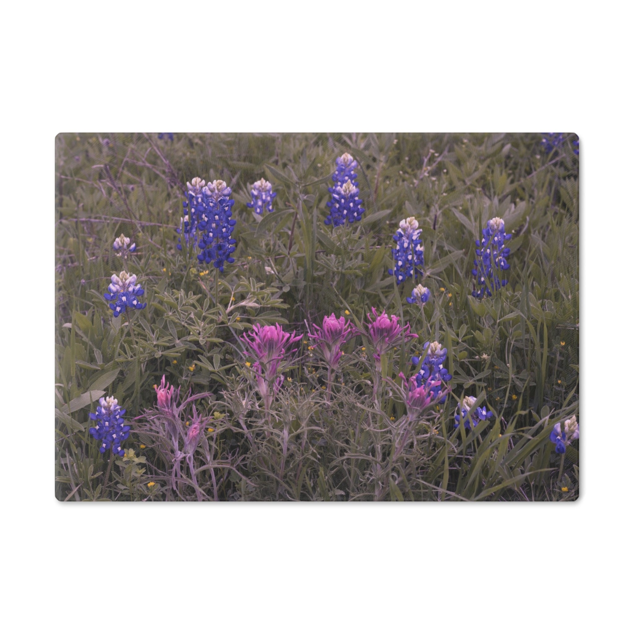 Tempered Glass Cutting Board- Texas Bluebonnets and Indian Paintbrushes - My Blu Horizon