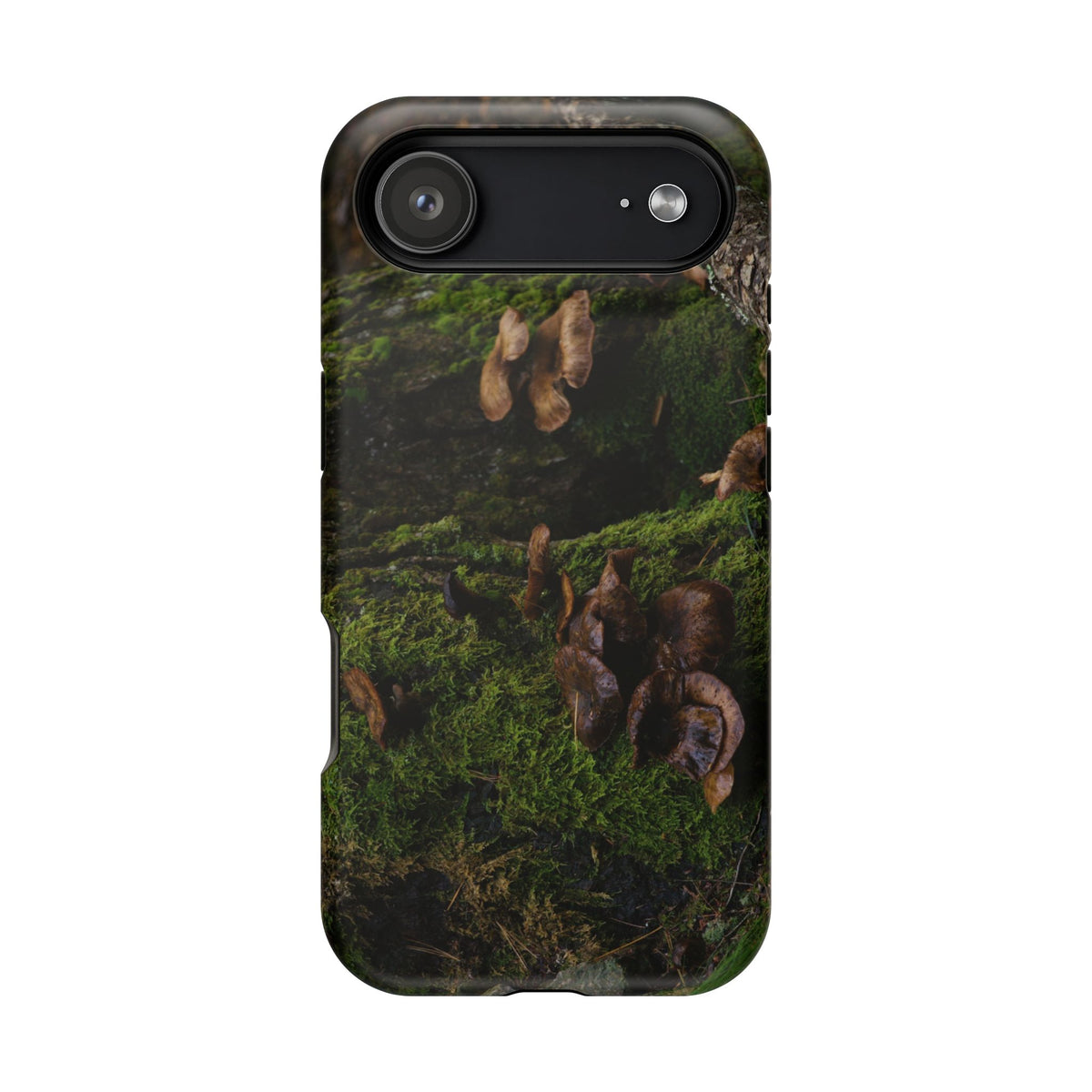 iPhone MagSafe Case | Acadia Forest Fungi | Acadia National Park | My Blu Horizon