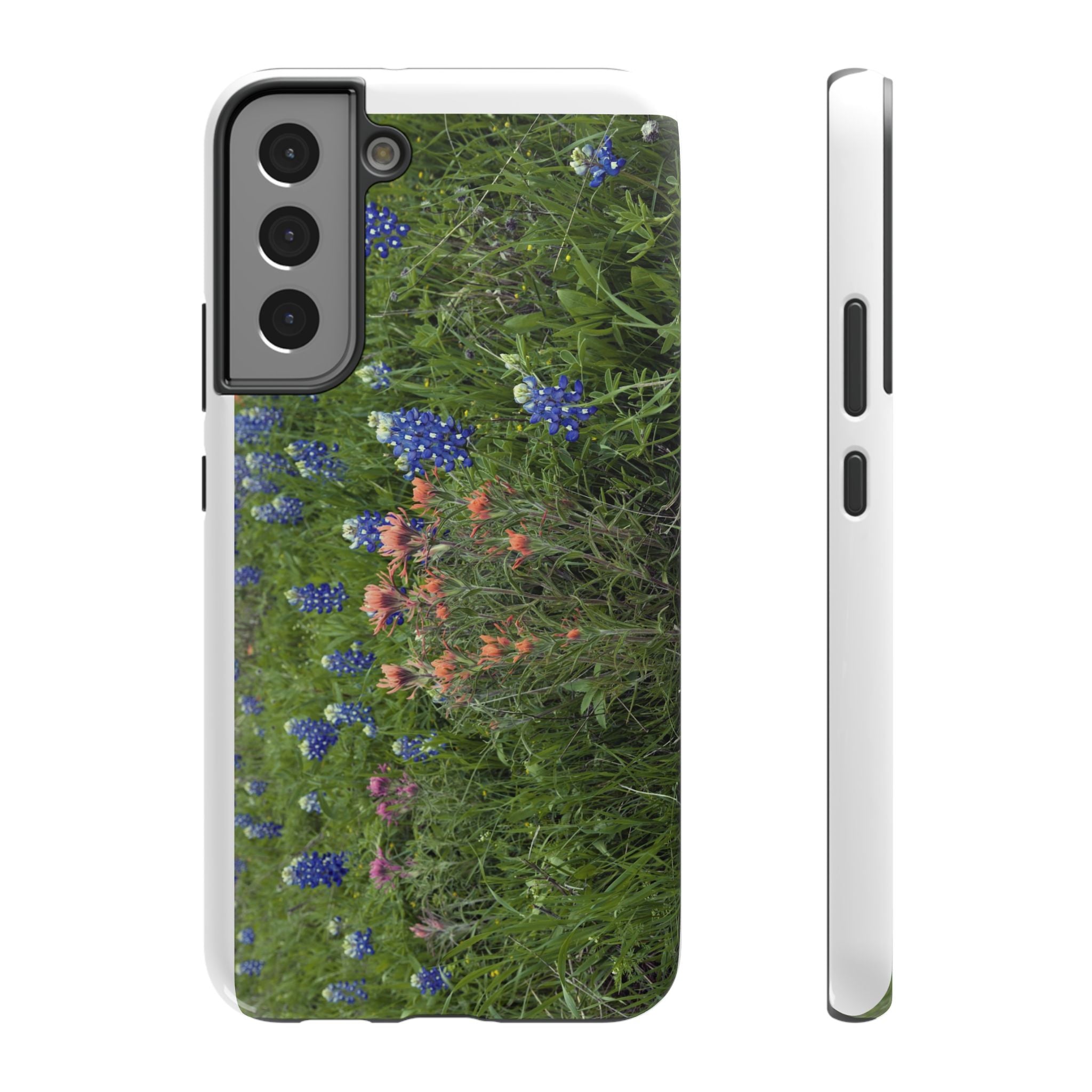 Texas Bluebonnets and Indian Paintbrushes