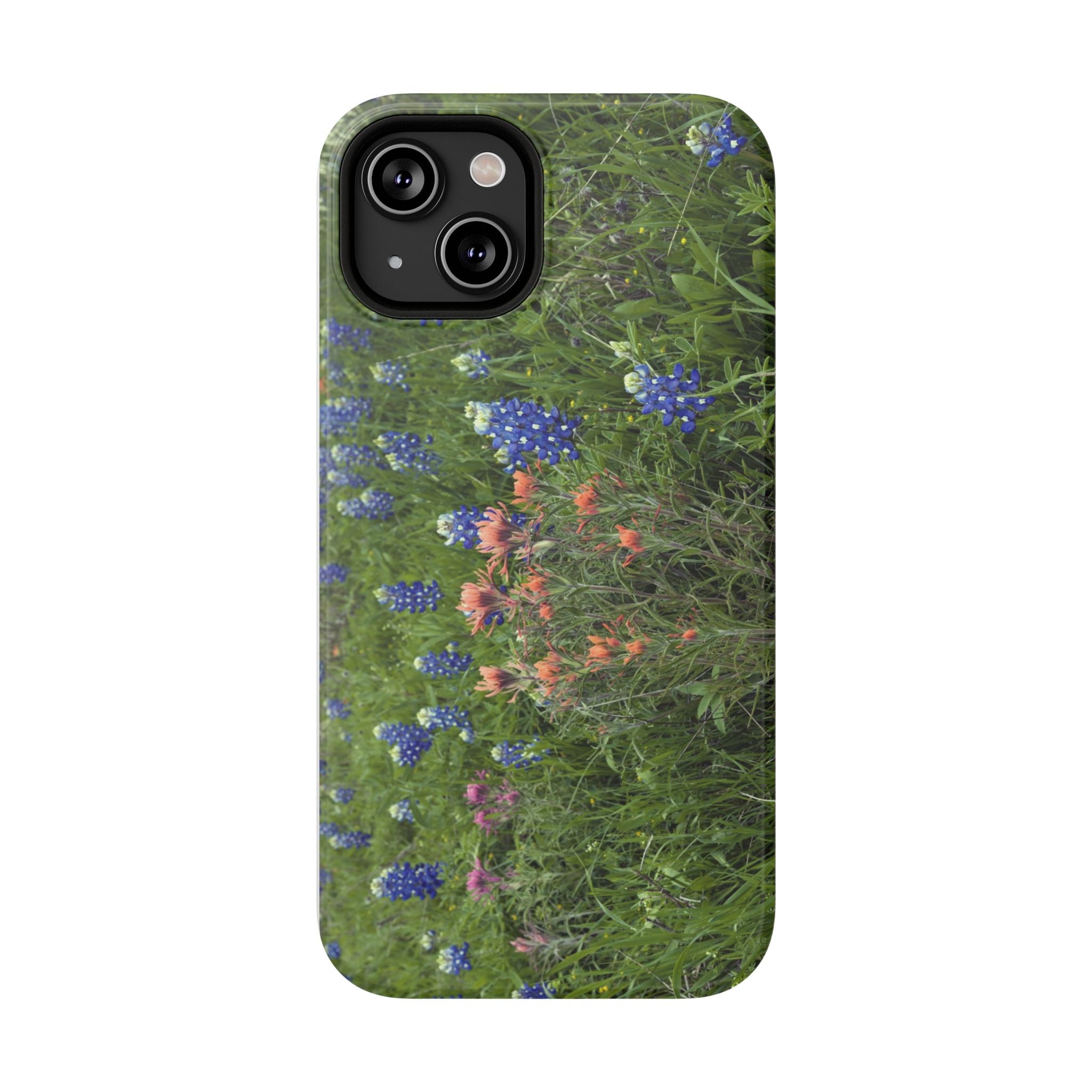 Texas Bluebonnets and Indian Paintbrushes