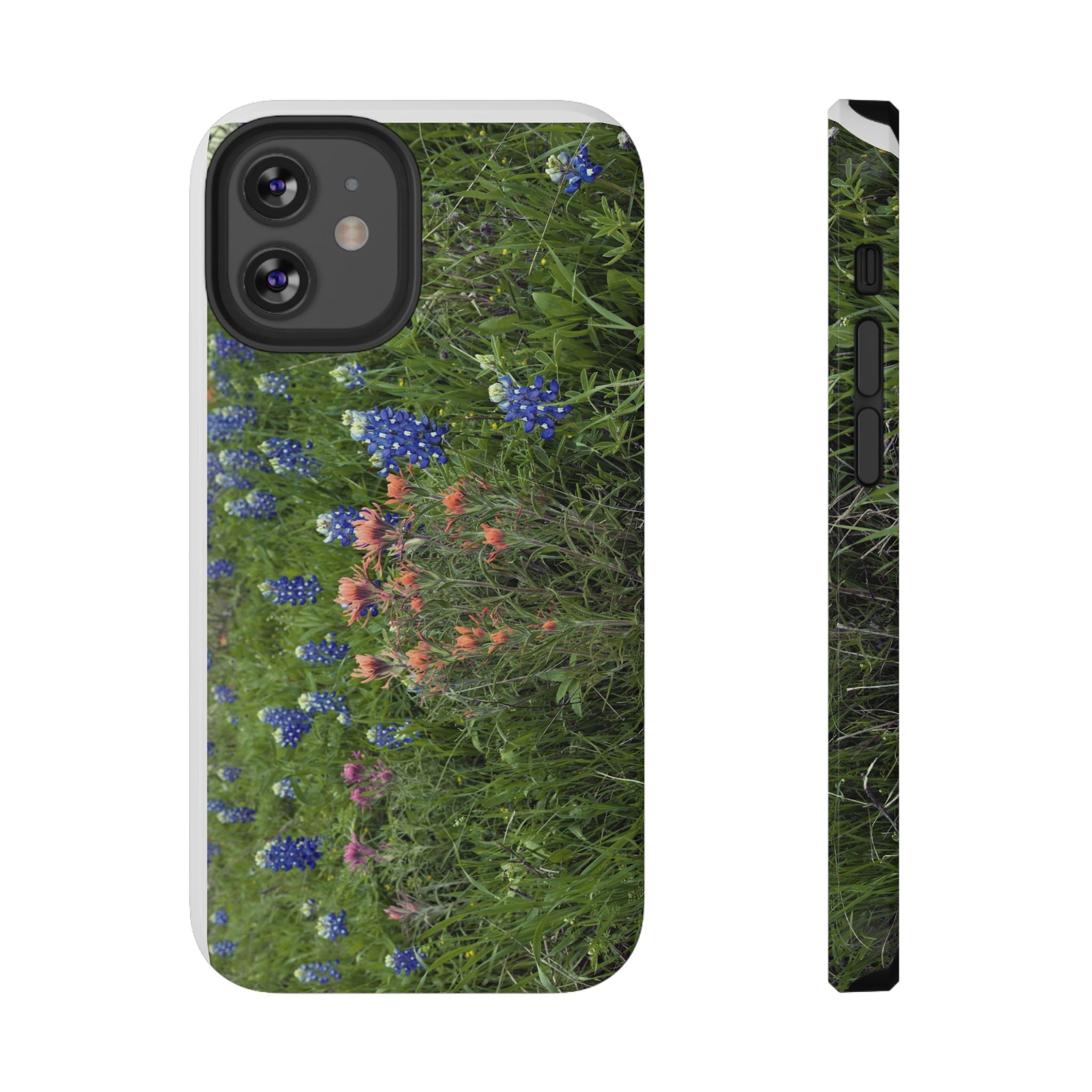 Texas Bluebonnets and Indian Paintbrushes