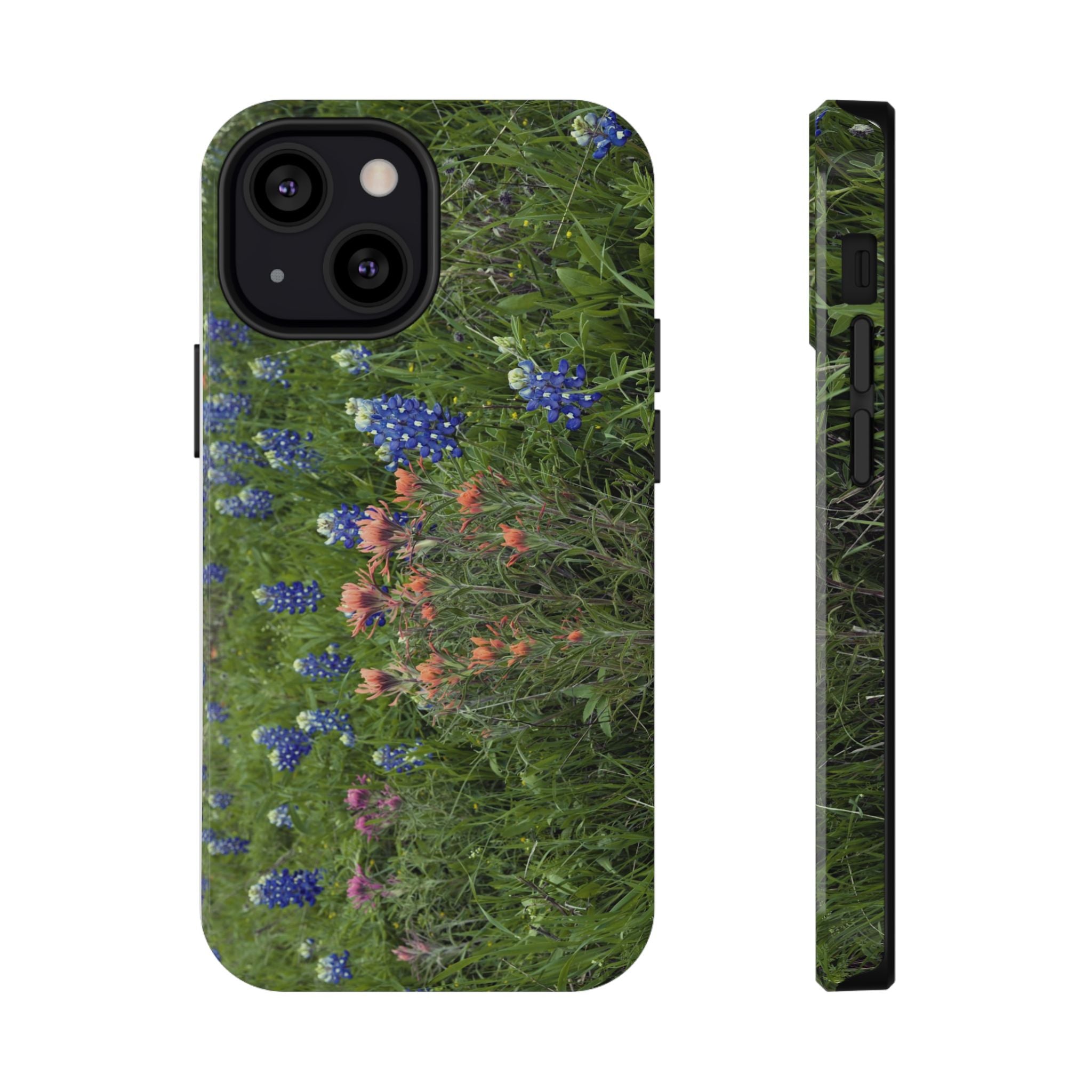 Texas Bluebonnets and Indian Paintbrushes