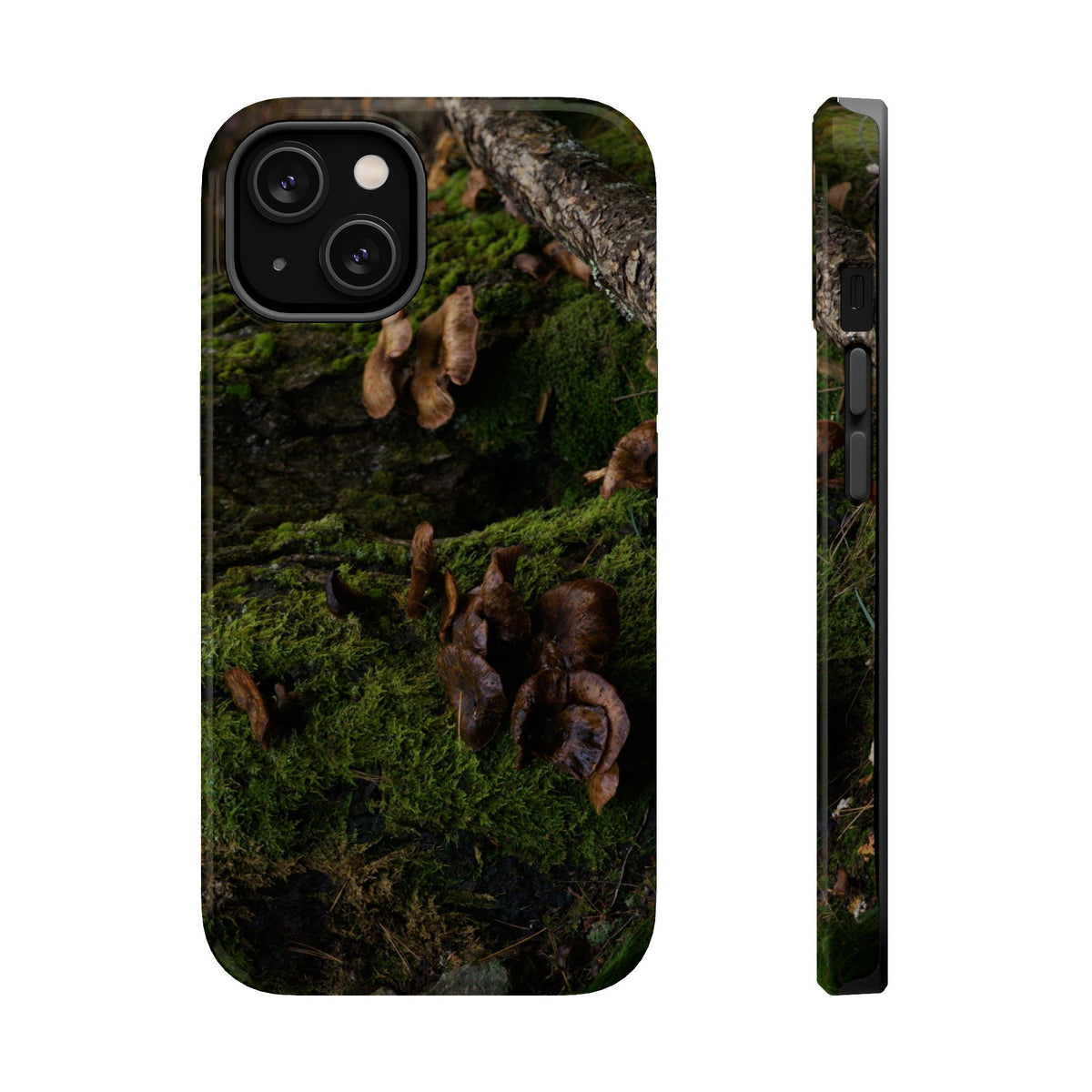 iPhone MagSafe Case | Acadia Forest Fungi | Acadia National Park | My Blu Horizon