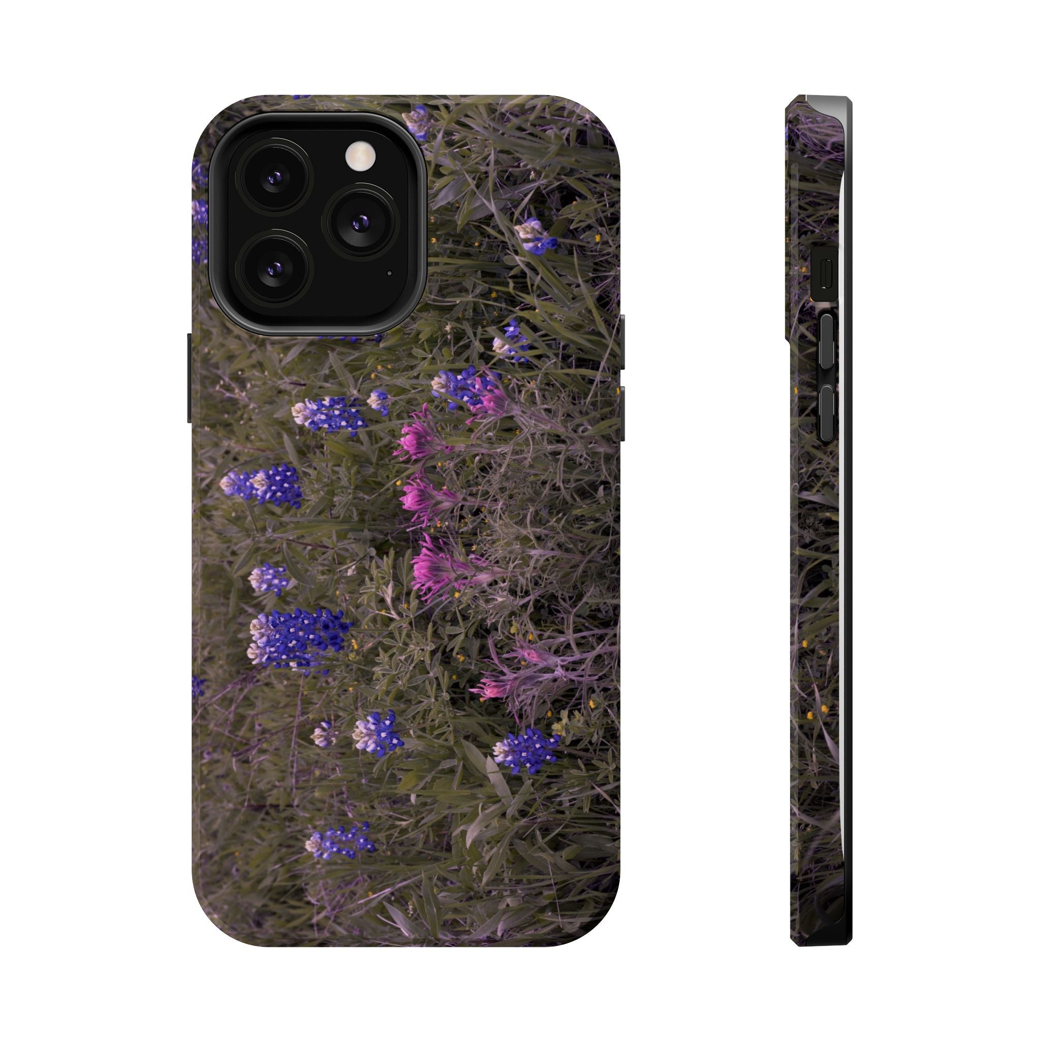 Texas Icons Bluebonnets and Paintbrushes