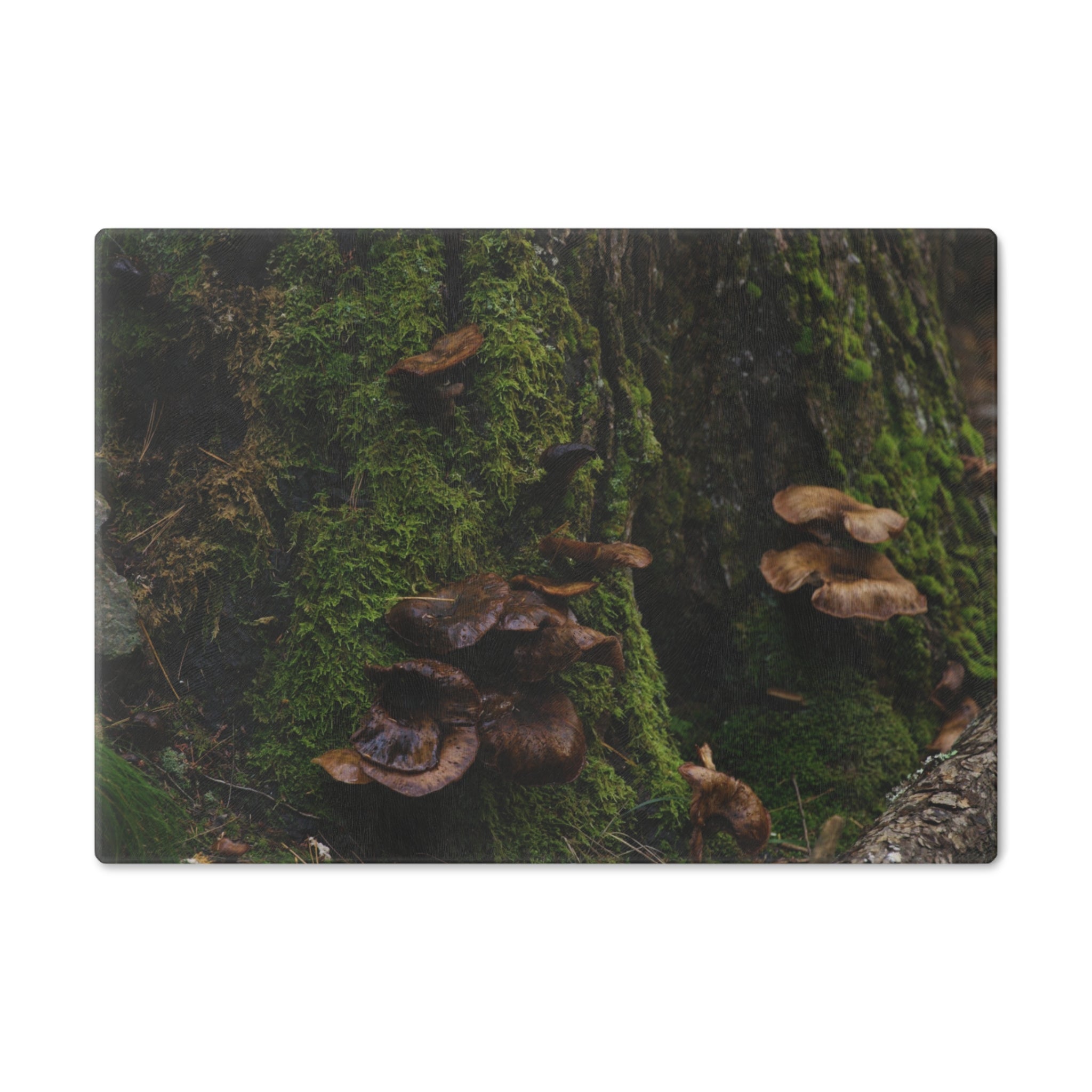 Tempered Glass Cutting Board - Acadia Flora, Acadia National Park - My Blu Horizon