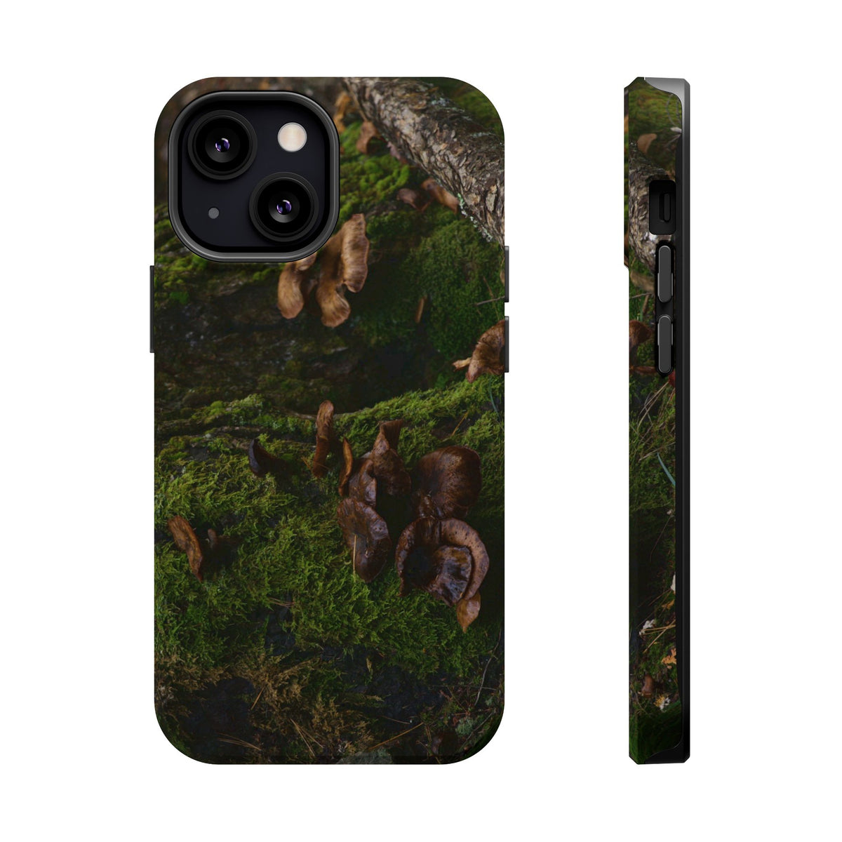 iPhone MagSafe Case | Acadia Forest Fungi | Acadia National Park | My Blu Horizon