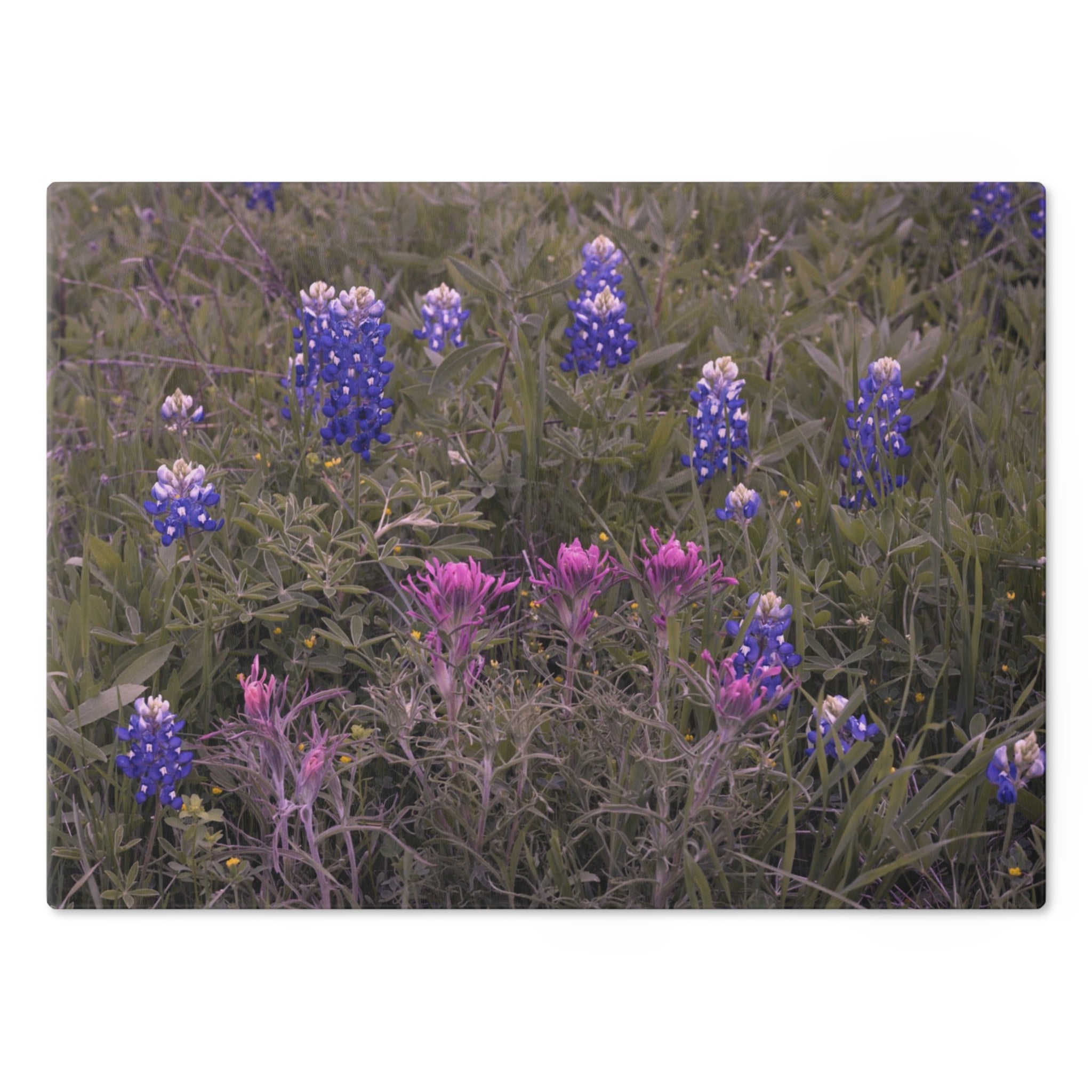 Tempered Glass Cutting Board- Texas Bluebonnets and Indian Paintbrushes - My Blu Horizon