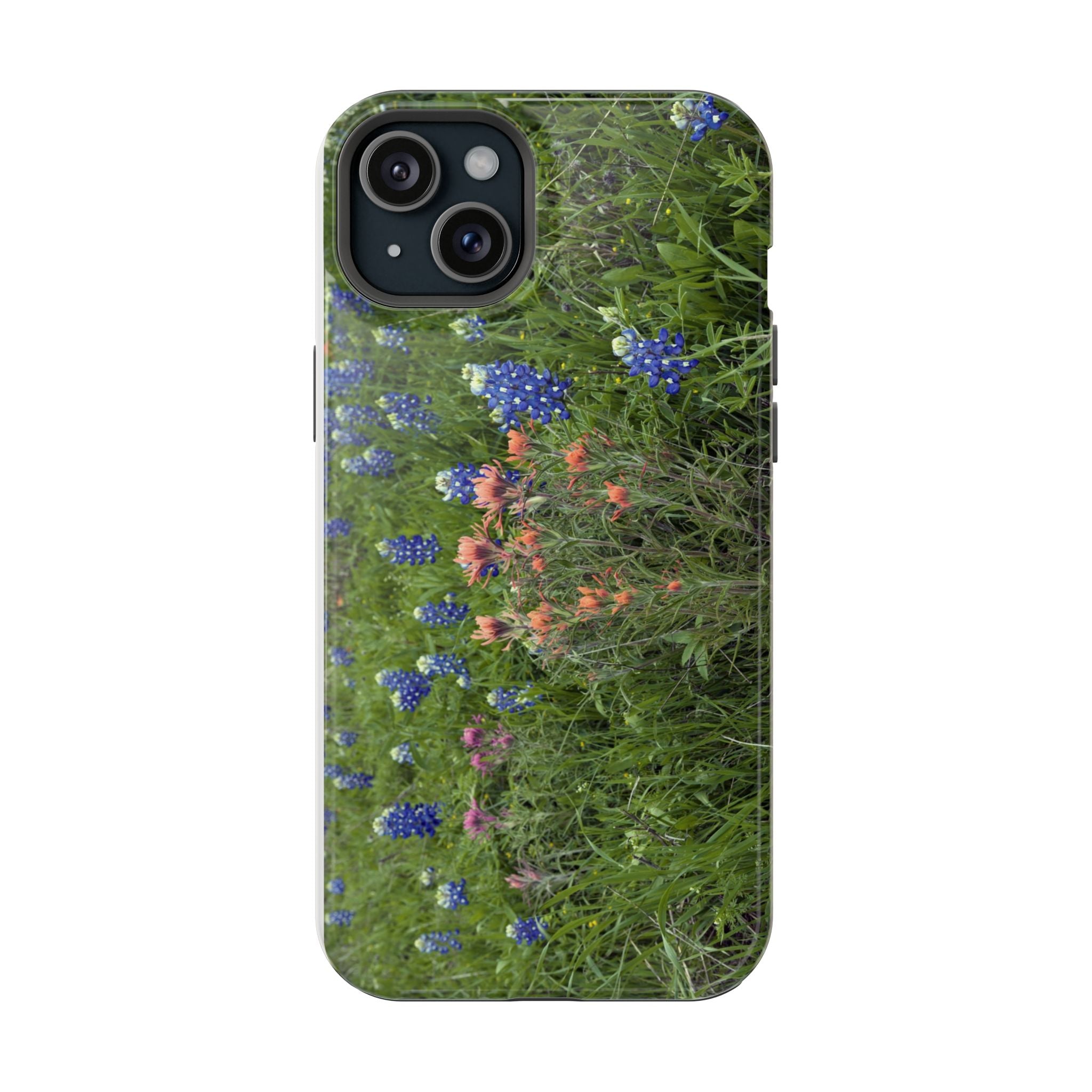 Texas Bluebonnets and Indian Paintbrushes